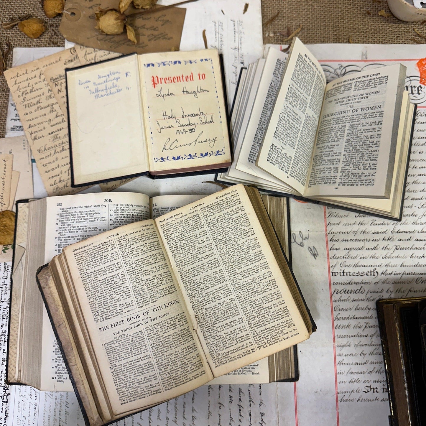 Book Stack Bible Collection - The Blind Mole