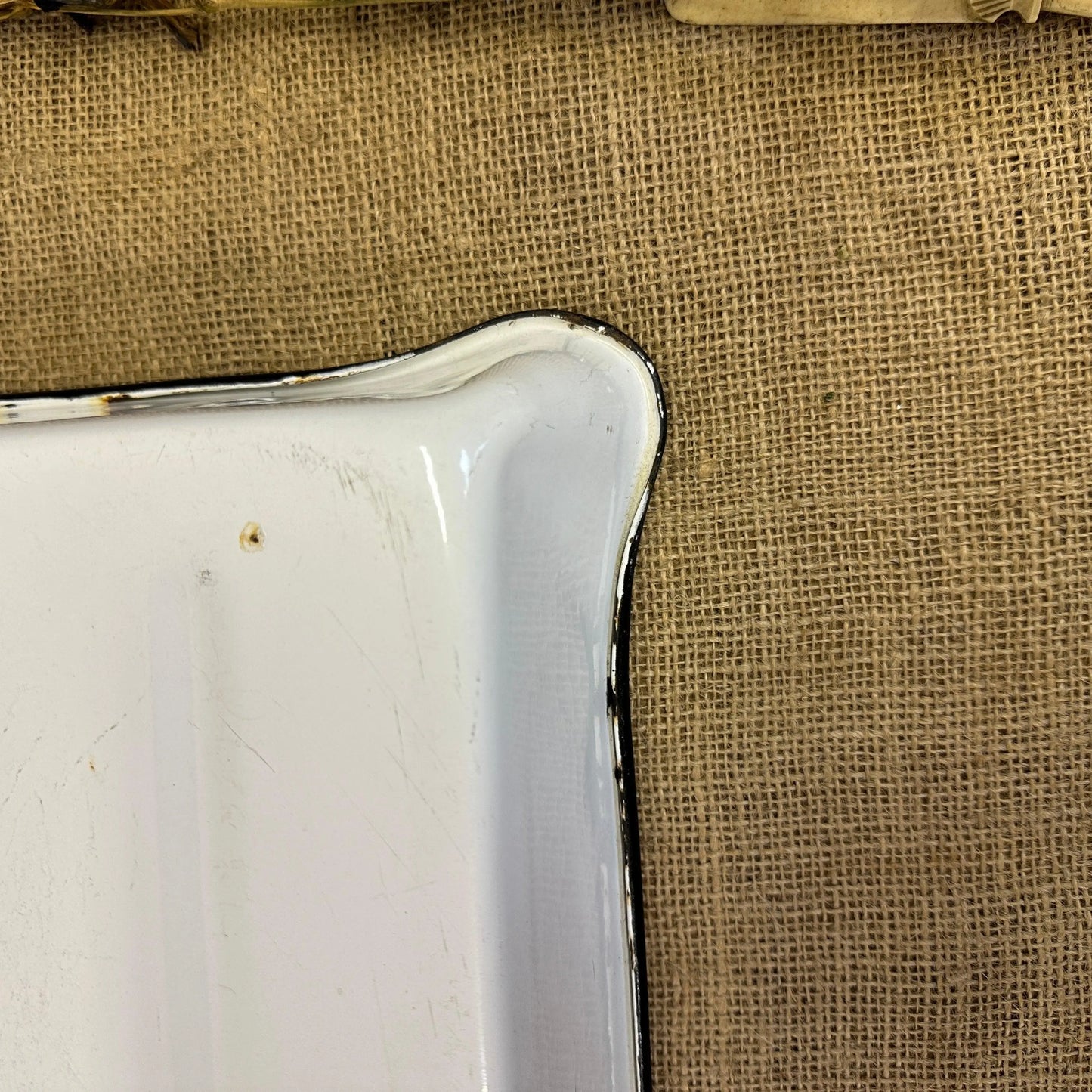 Huge Enamel Developing Tray Planter - The Blind Mole
