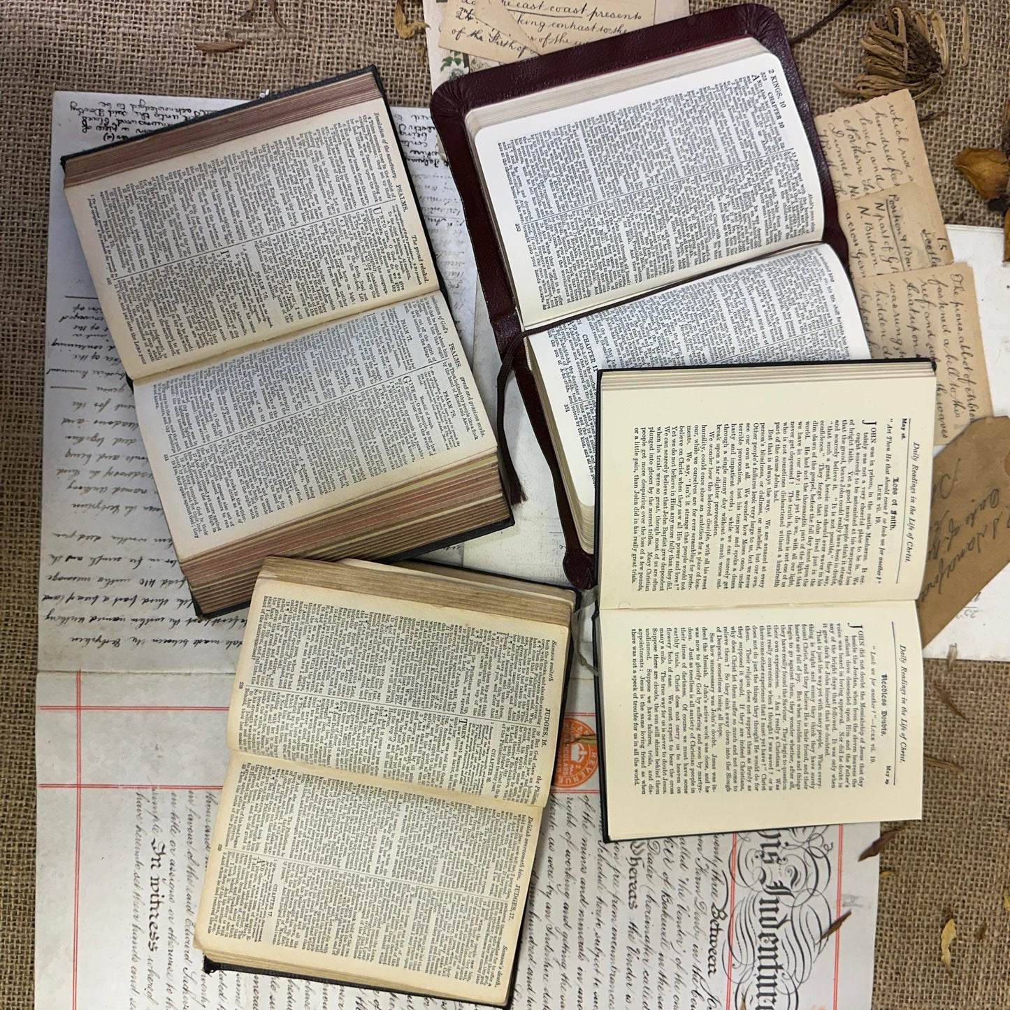 Bible Collection Book Stack - The Blind Mole