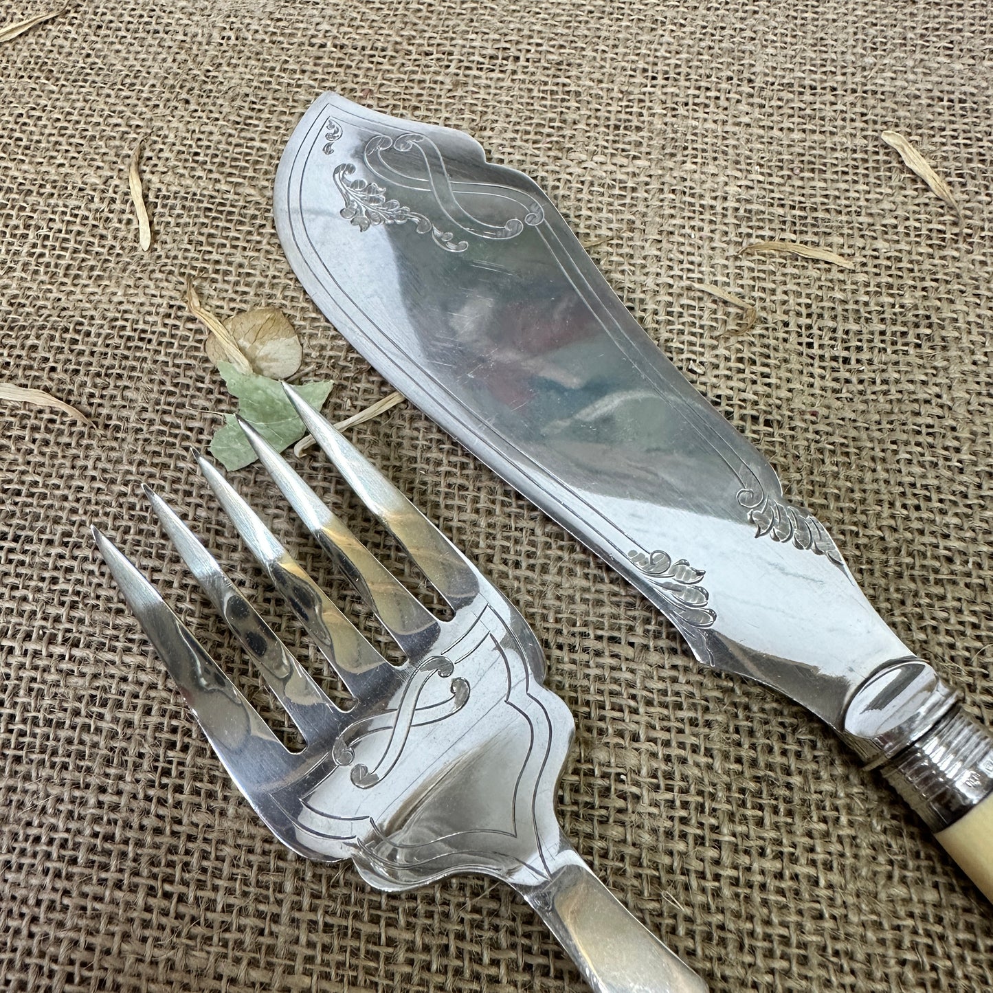 Salomon Fish Serving Set Silver Collars - The Blind Mole