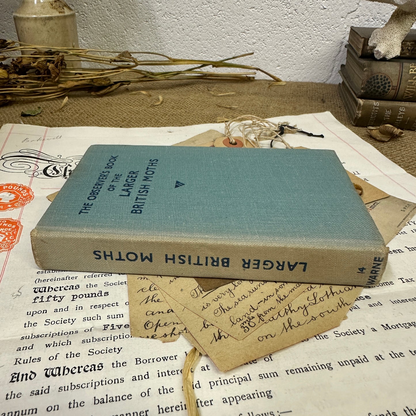 The observer’s book of Larger British Moths - Title Top to Bottom - The Blind Mole