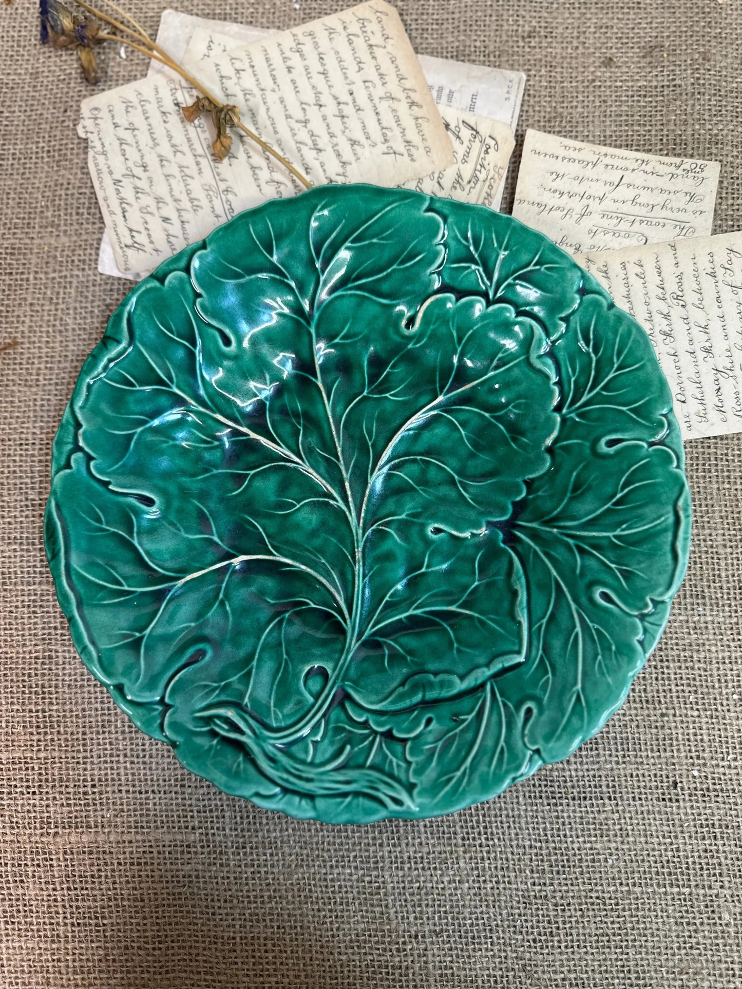 Victorian Cabbage Leaf Majolica Plate - The Blind Mole