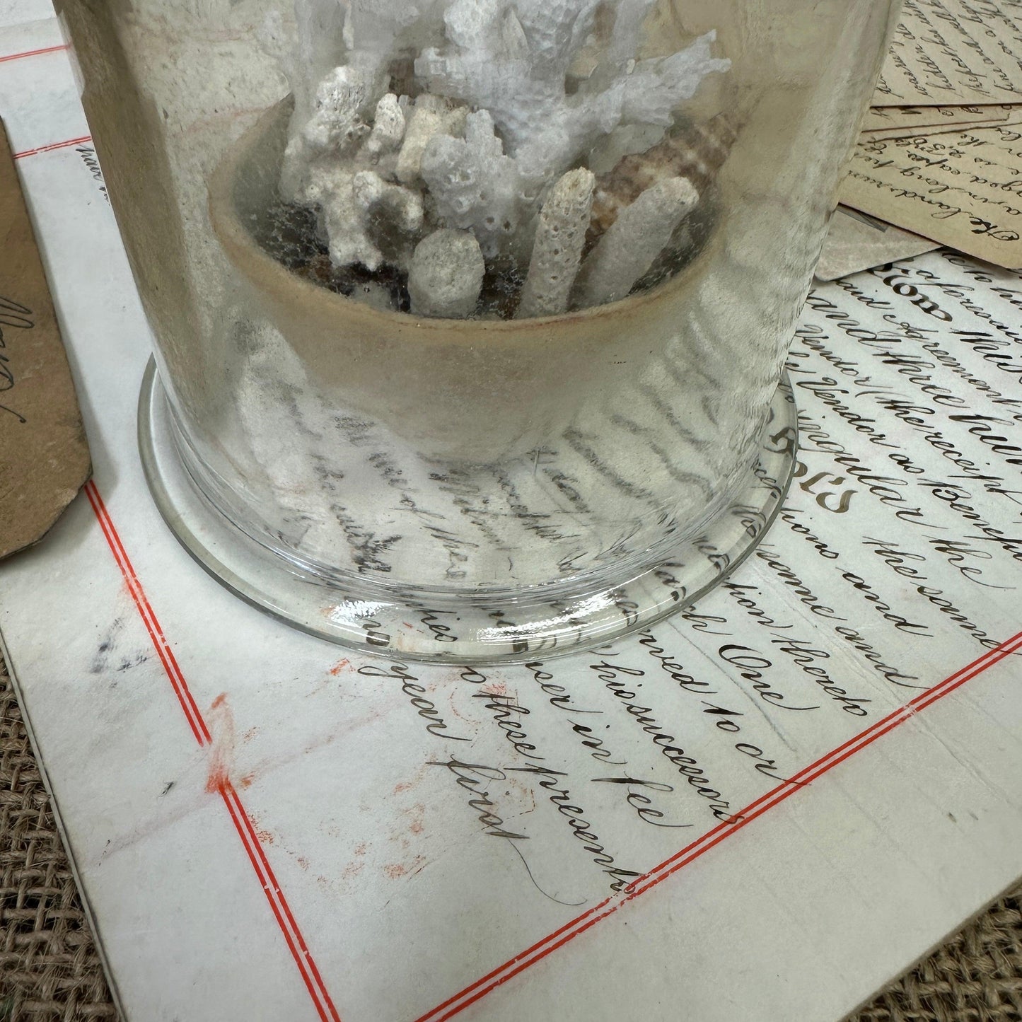 Glass Dome Display Case Cloche - The Blind Mole