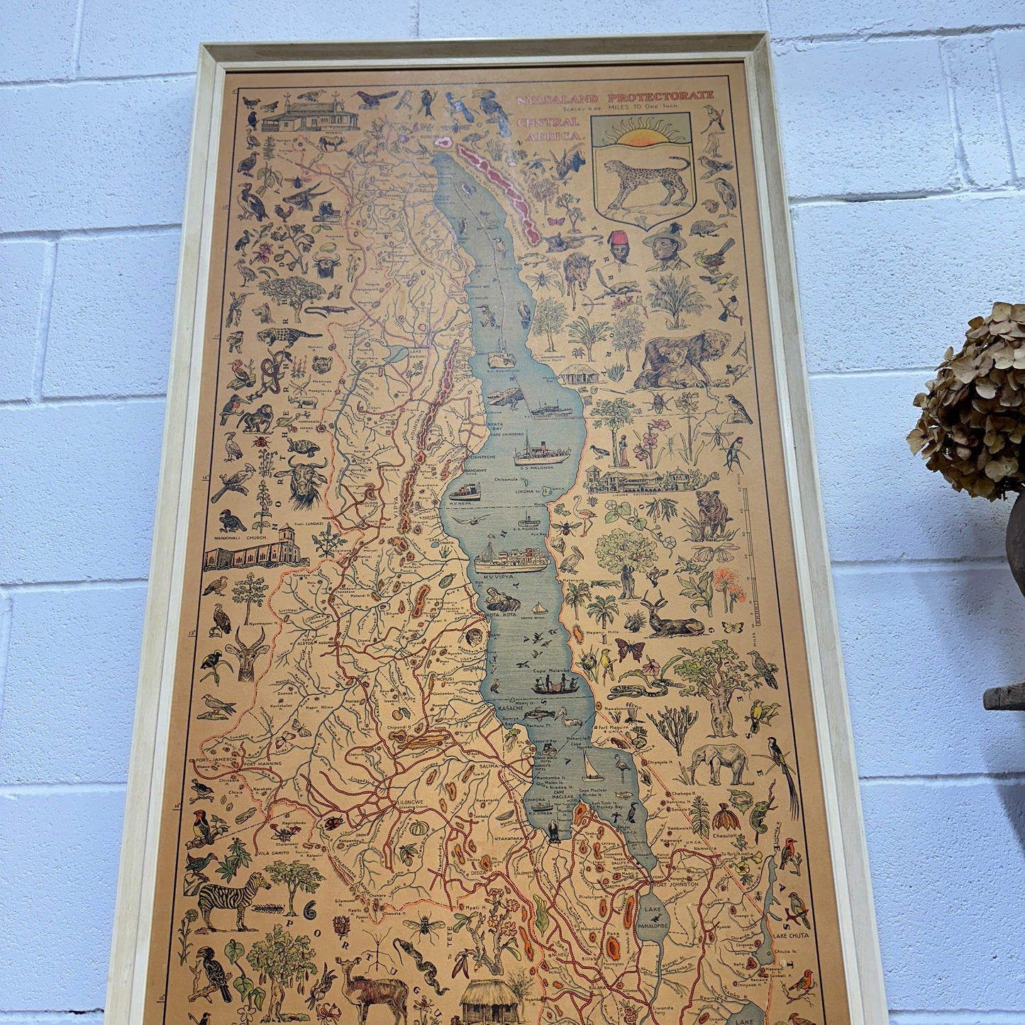 Map Former Nyasaland Africa Malawi - The Blind Mole