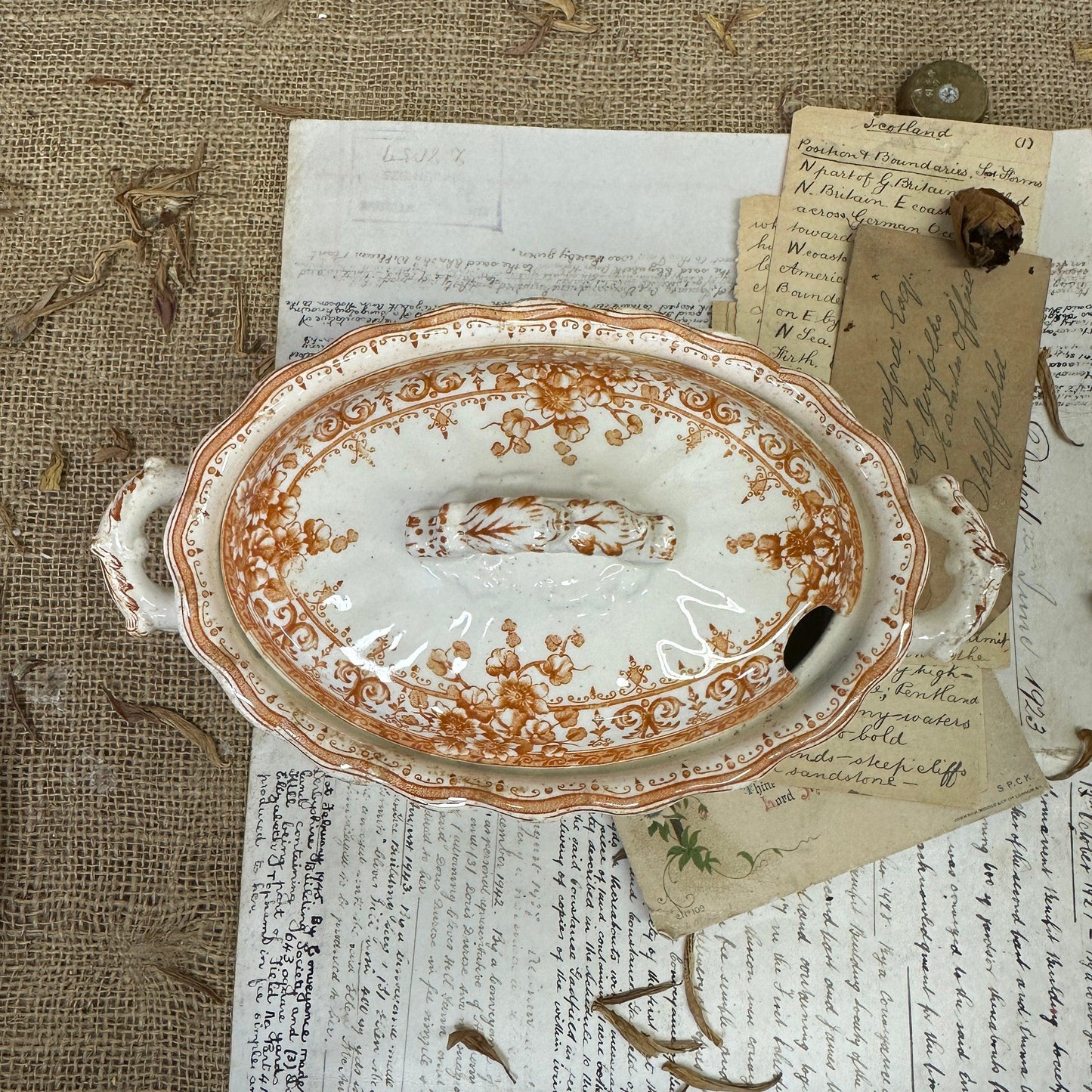 Antique Tureen Oxford Late Mayers - The Blind Mole