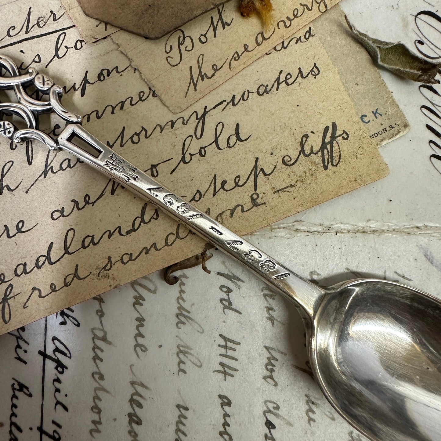 Victorian Sterling Silver Caddy Spoon - The Blind Mole