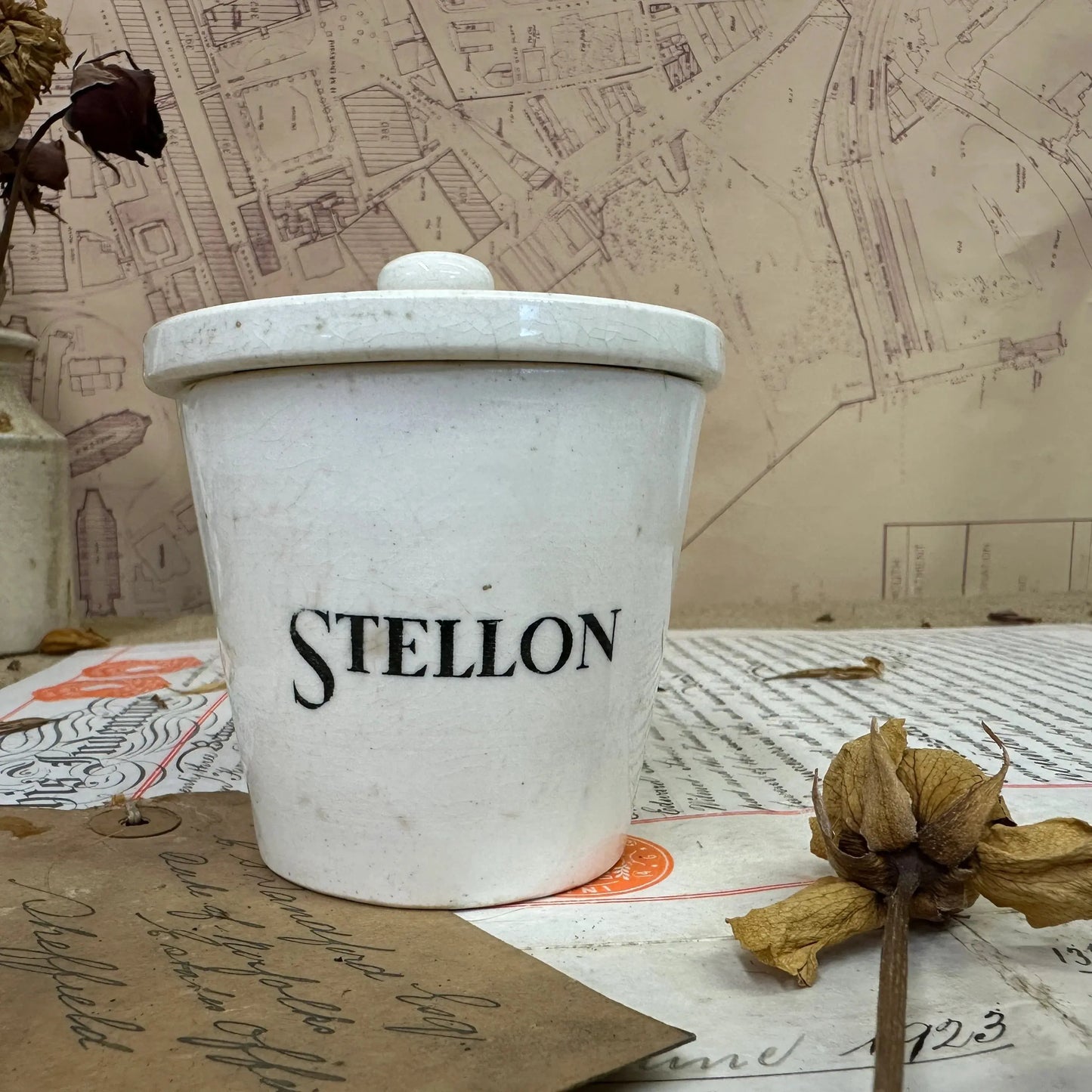 Stoneware Lidded Stellon Denture Pot - The Blind Mole