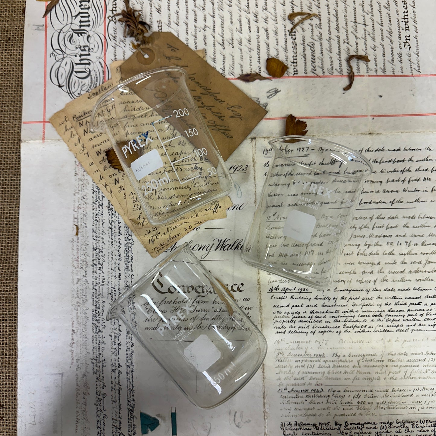 Pyrex 250ML Apothecary Laboratory Beaker - The Blind Mole