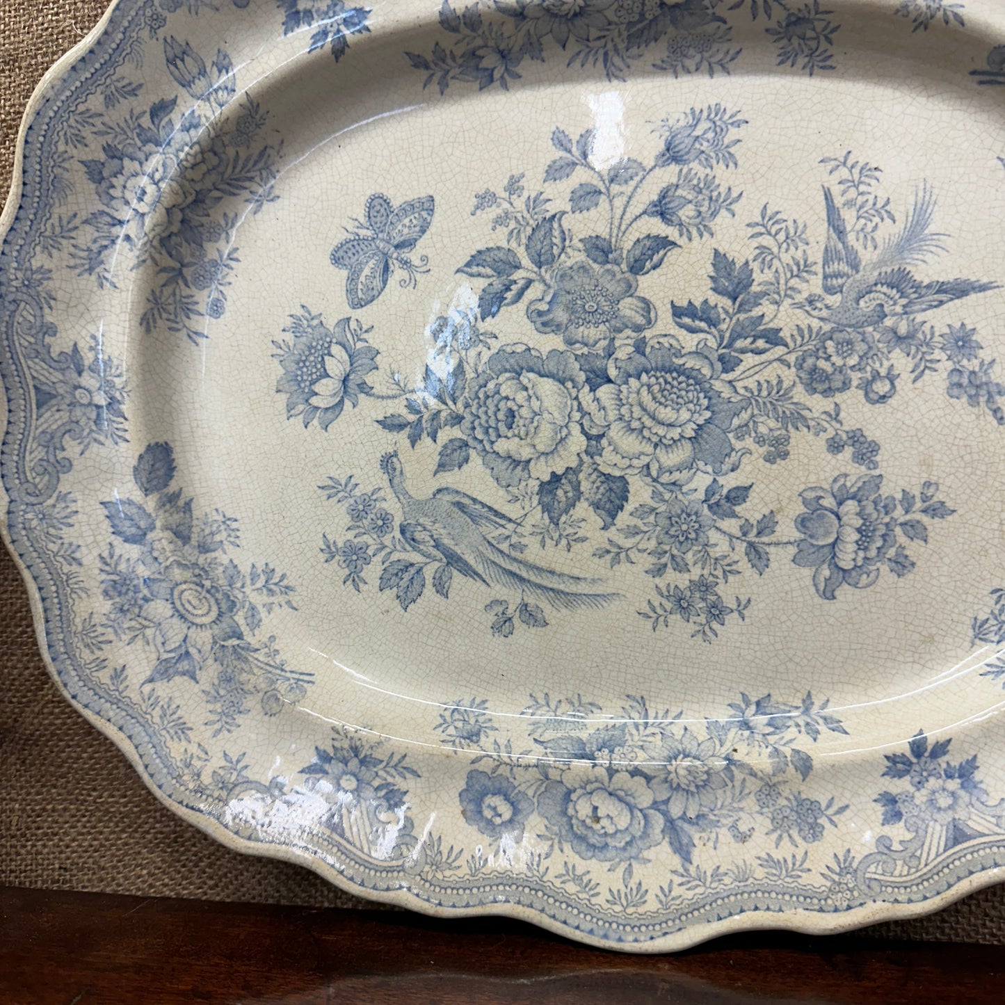 Wedgwood Victorian Platter Asiatic Pheasant The Blind Mole