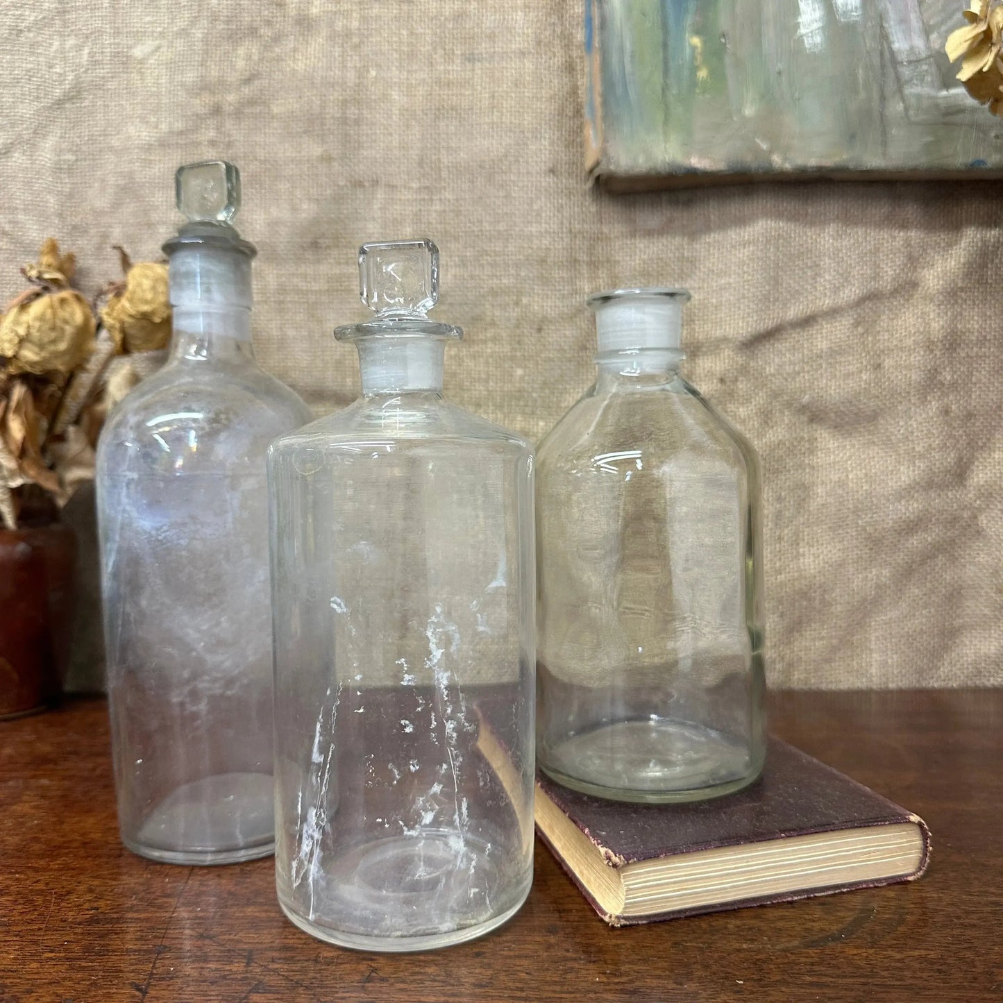 Vintage Glass Apothecary Propagating Bottles The Blind Mole
