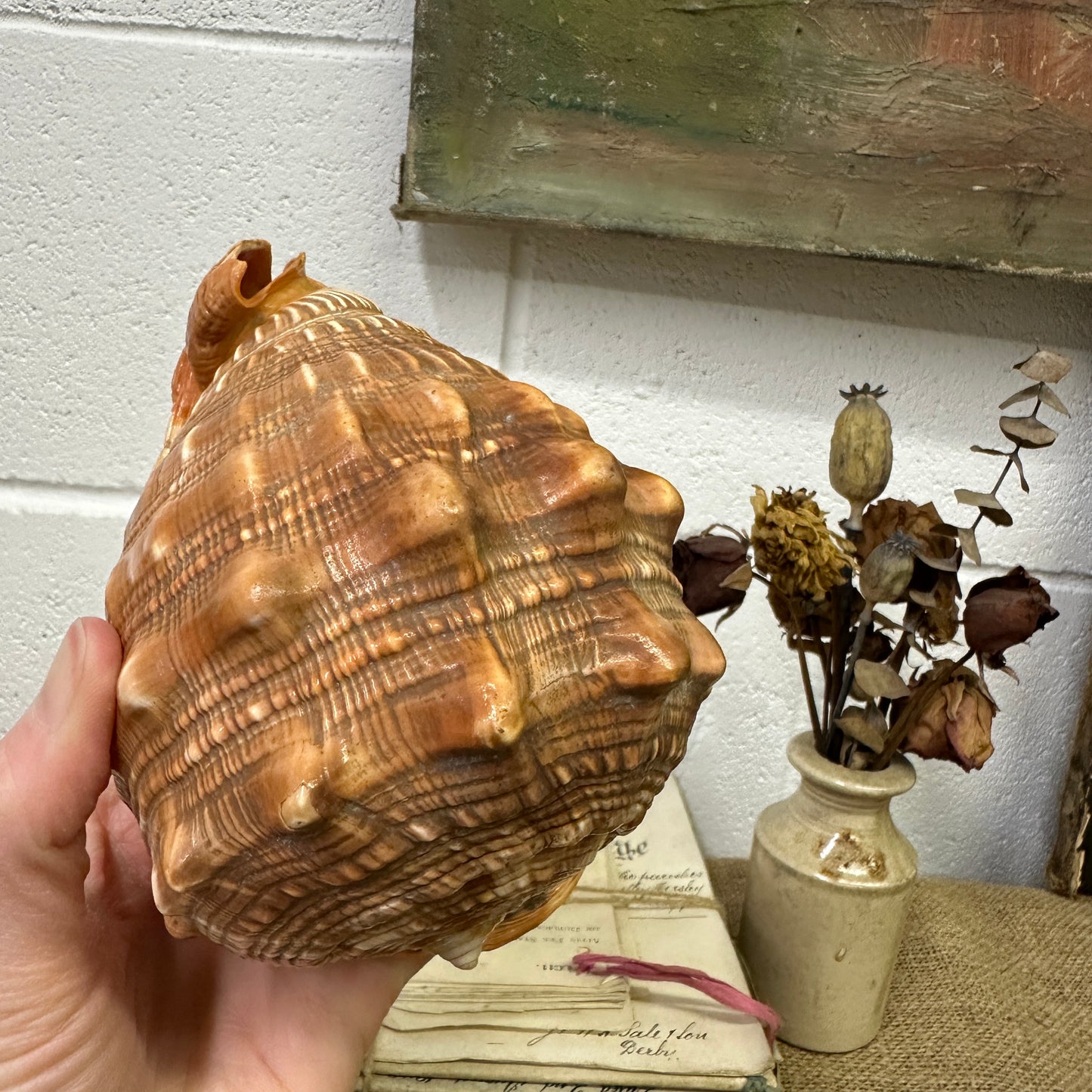 Antique Queen Helmet Shell