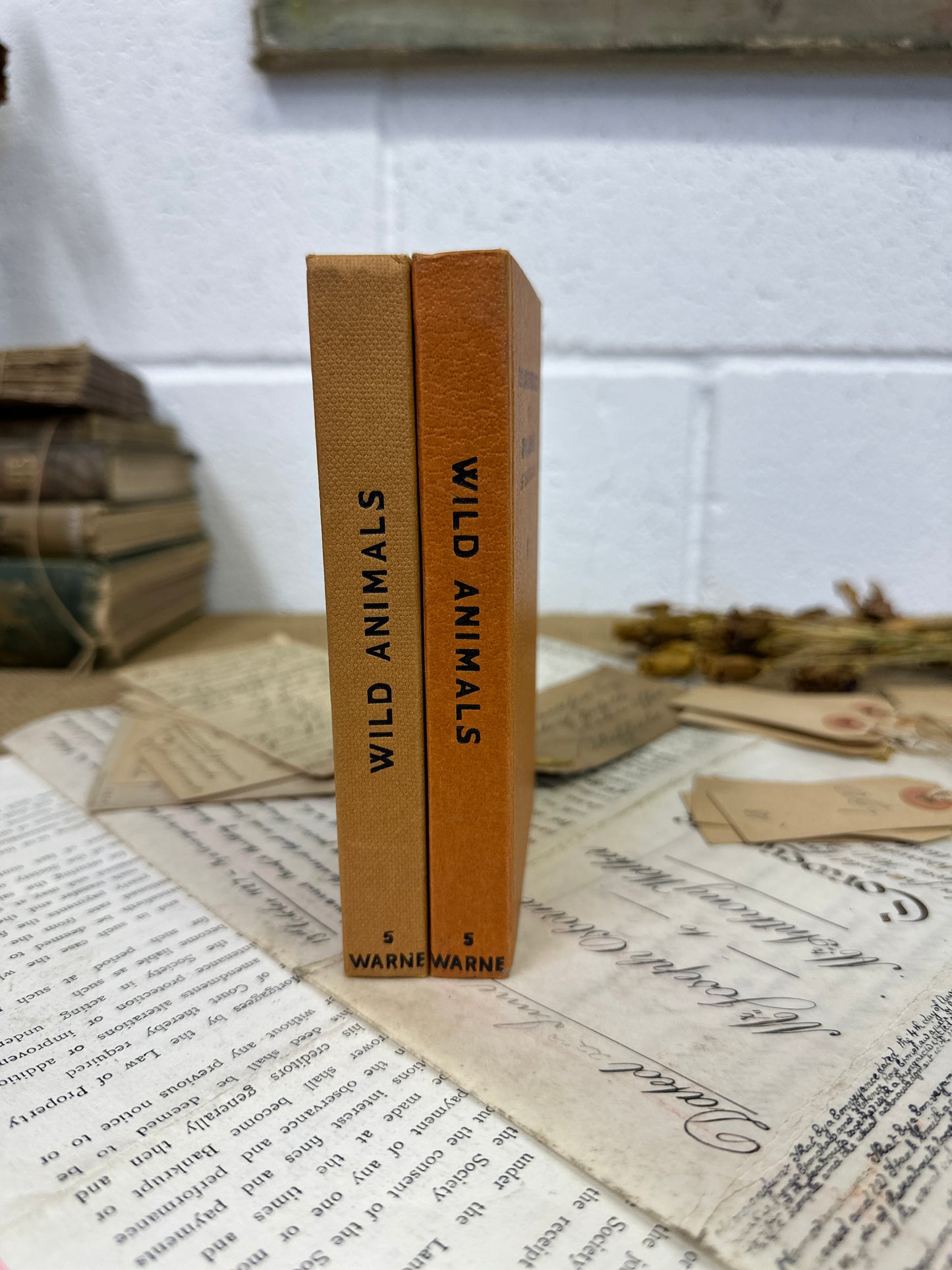 The observer’s book Wild Animals - The Blind Mole