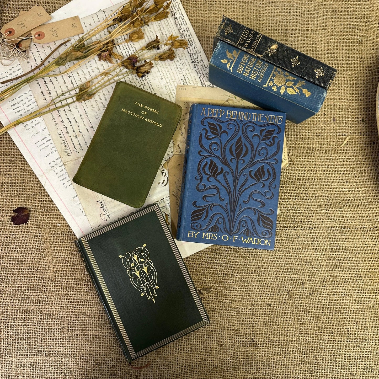 Stack of Blue Green Coloured Books - The Blind Mole