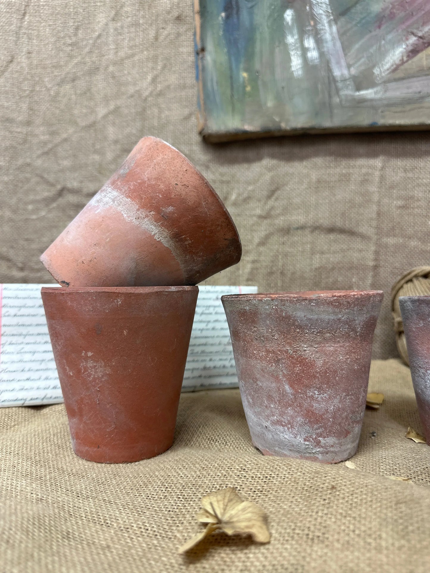 Antique Terracotta Seedling Plant Pots The Blind Mole