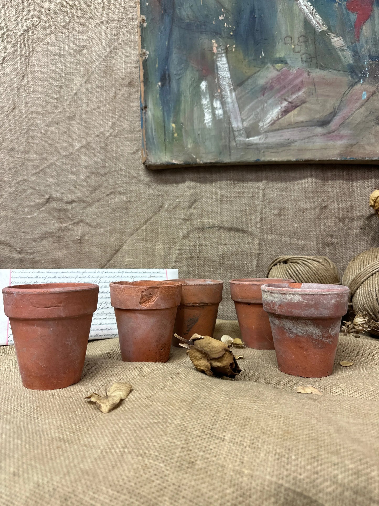 Antique Terracotta Seedling Plant Pots A The Blind Mole