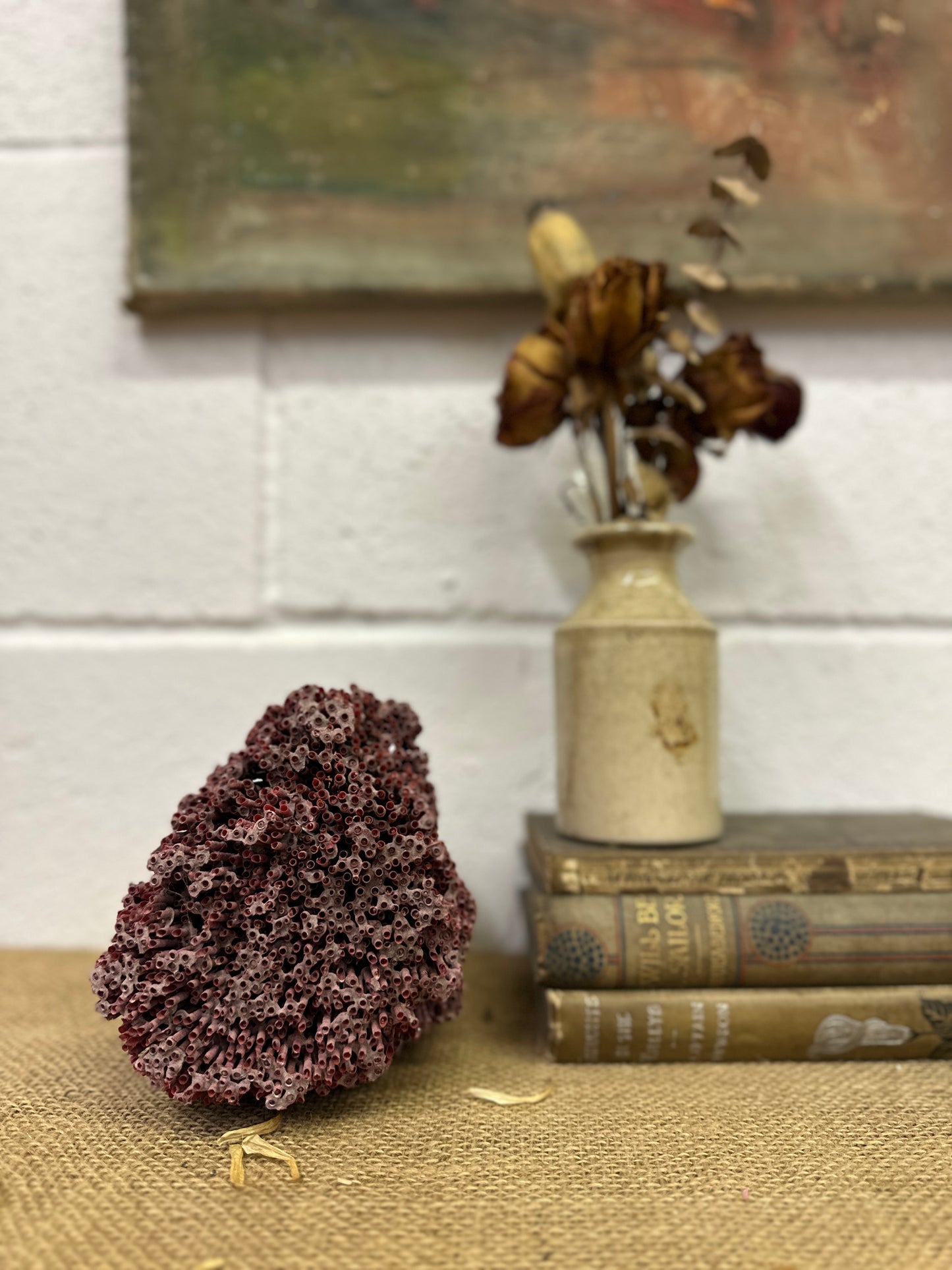 Antique Red Sea Coral Specimen