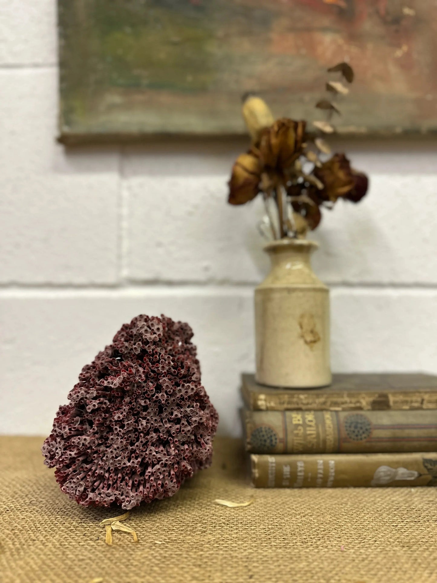 Antique Red Sea Coral Specimen - The Blind Mole
