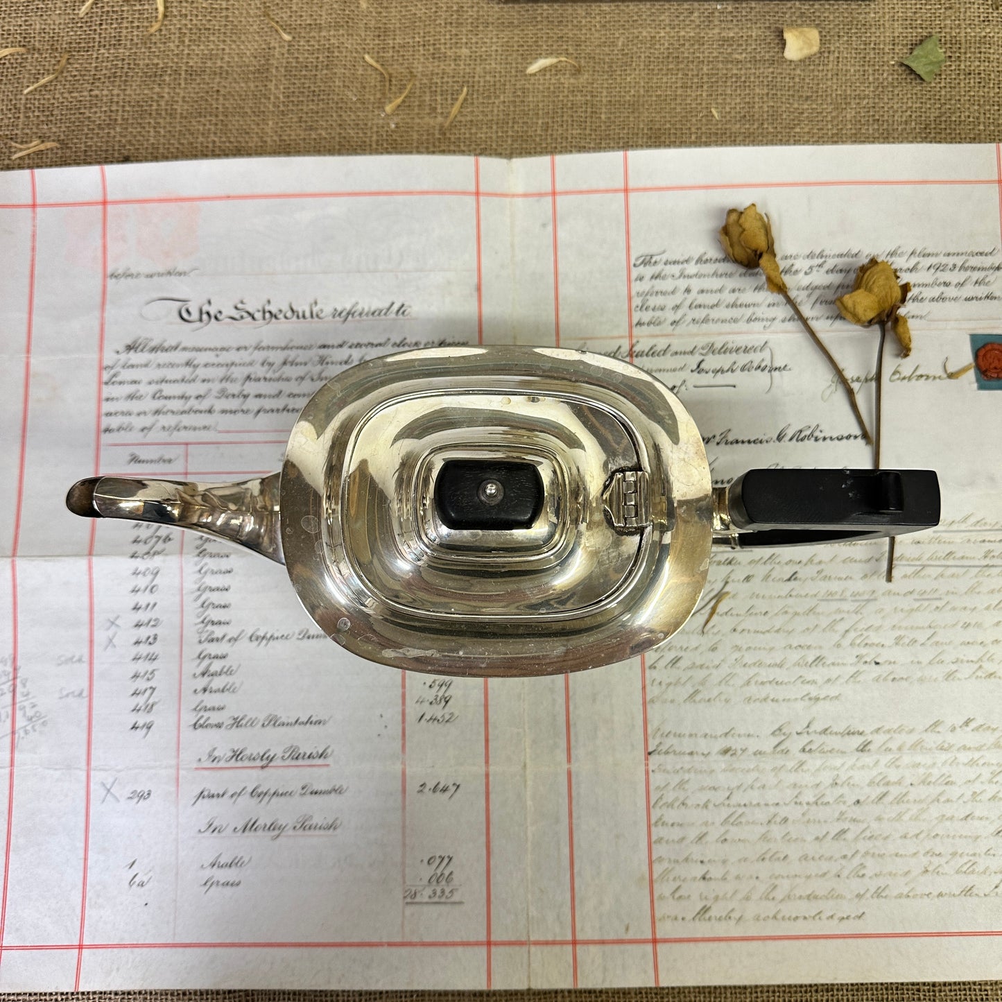 Edwardian Silver EPNS Teapot - The Blind Mole