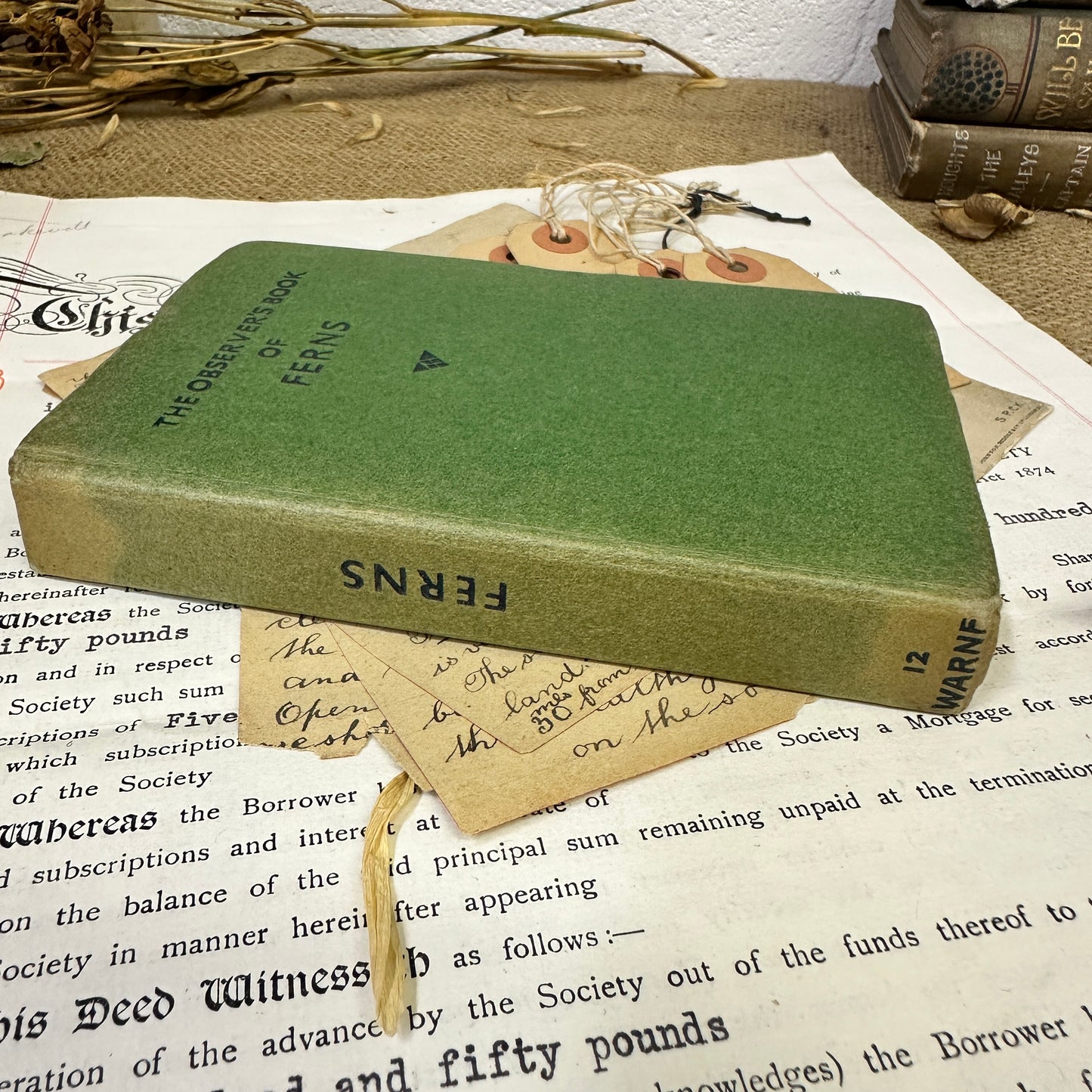 The observer’s book Ferns - Tile Bottom to Top - The Blind Mole