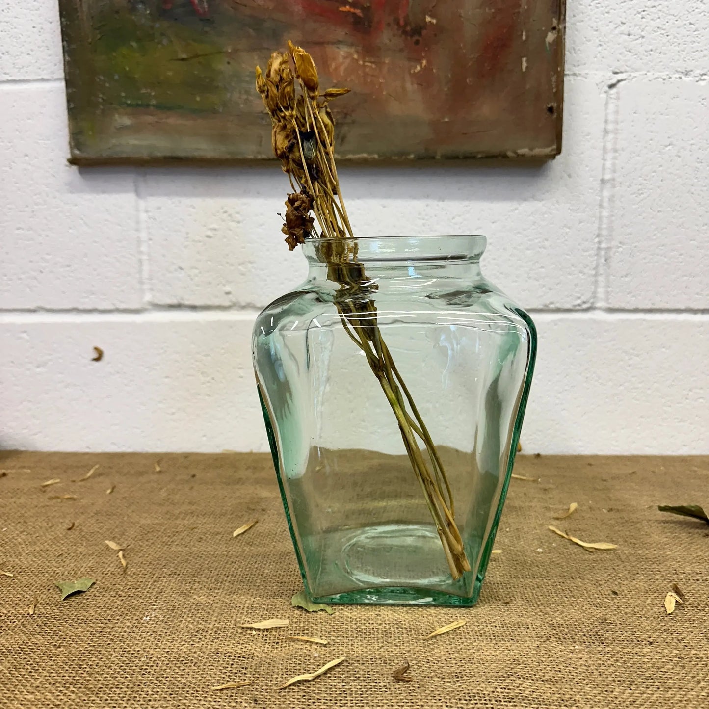 Square Glass Sweet Jar Terrarium - The Blind Mole