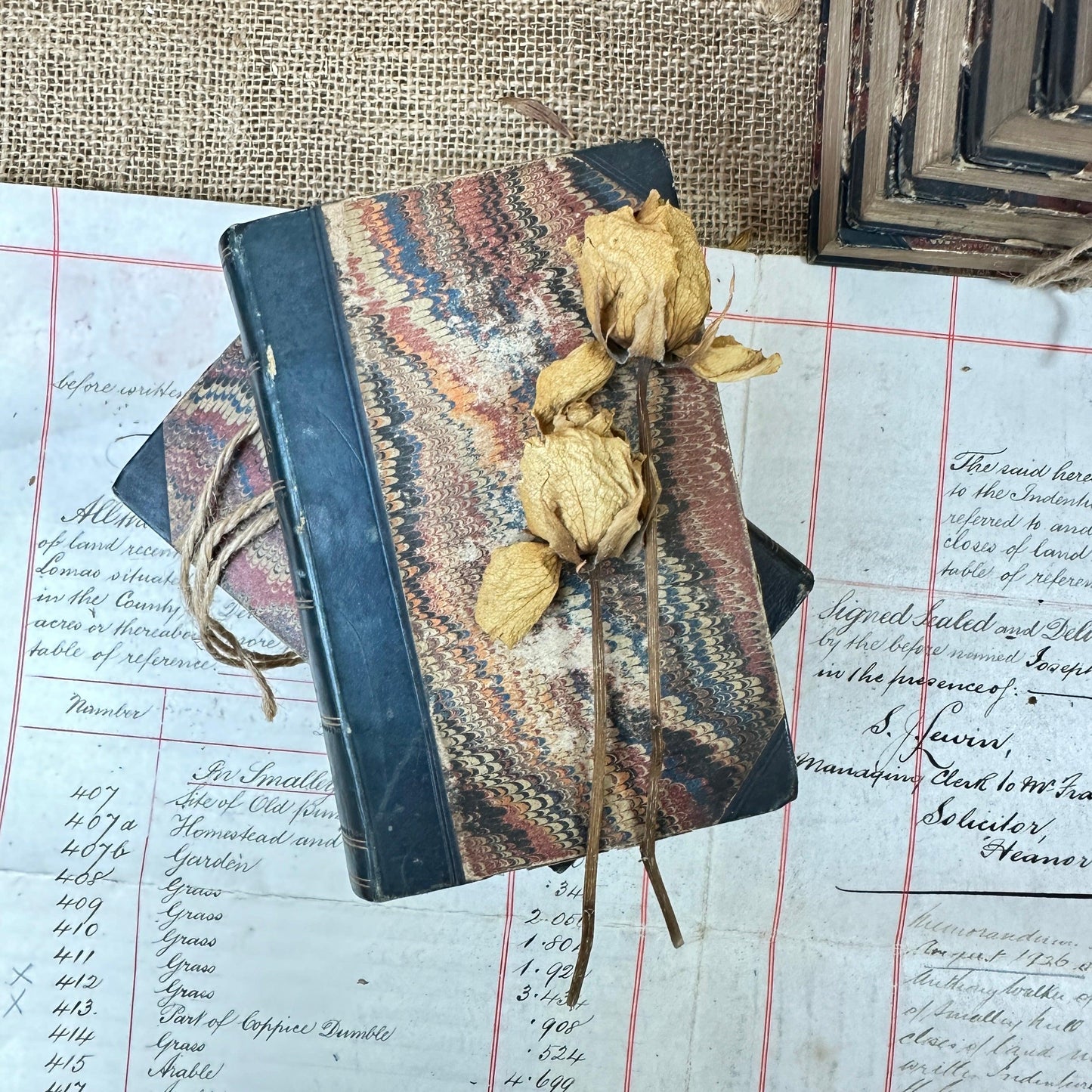 Leather Spine Antique Book Stack - The Blind Mole