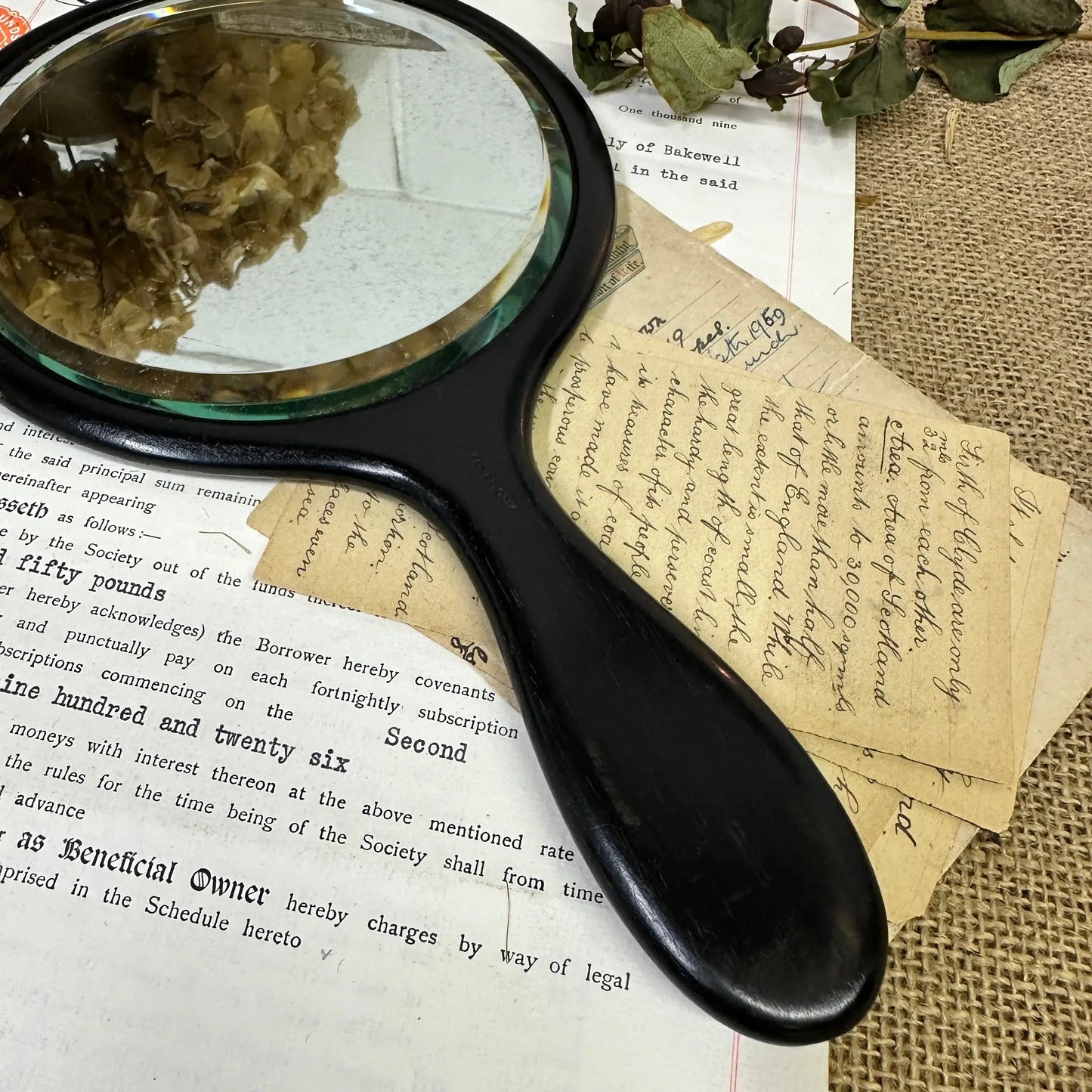 Antique Ebony Handheld Mirror Larger - The Blind Mole