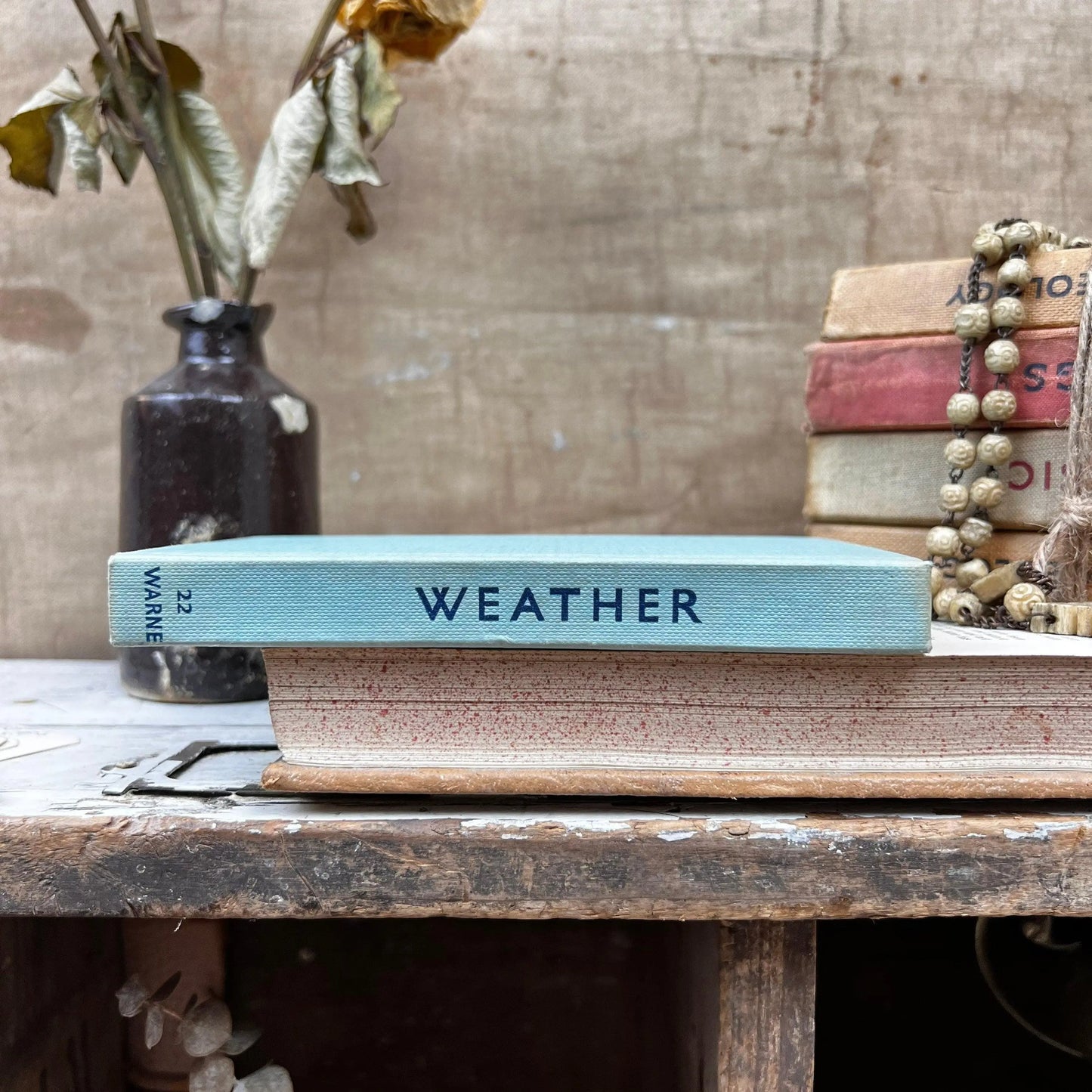 The observer’s book of Weather Light Cover Bottom - Top - The Blind Mole