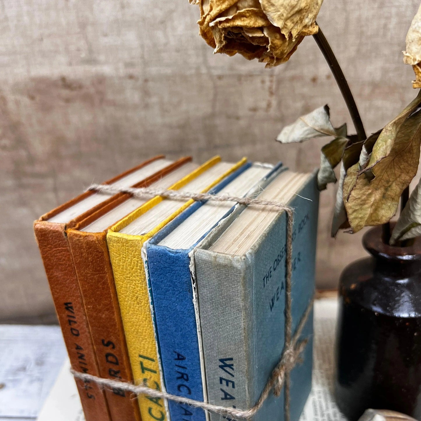 Stack of Vintage Observer Books - The Blind Mole