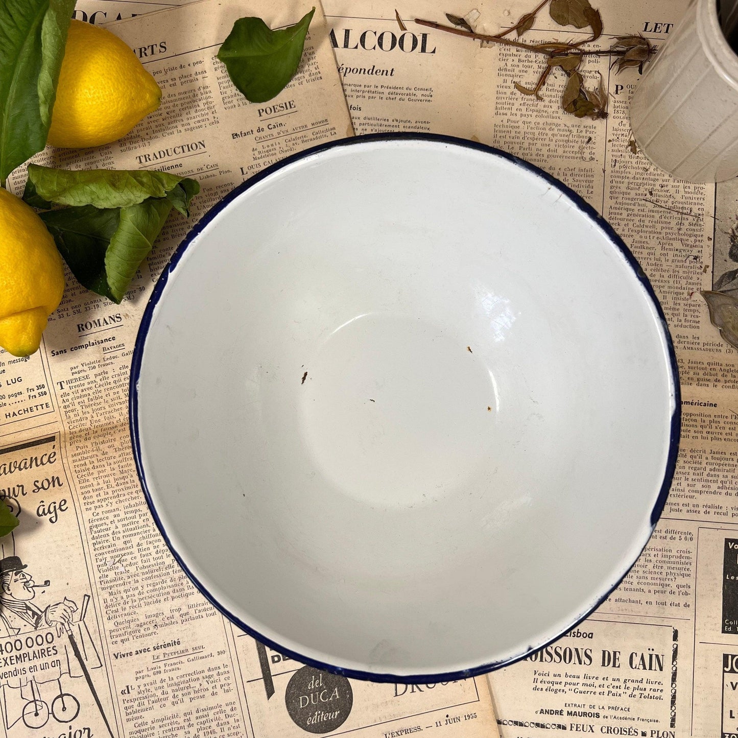 White enamel bowl with blue rim on vintage French newspaper, surrounded by lemons and green leaves