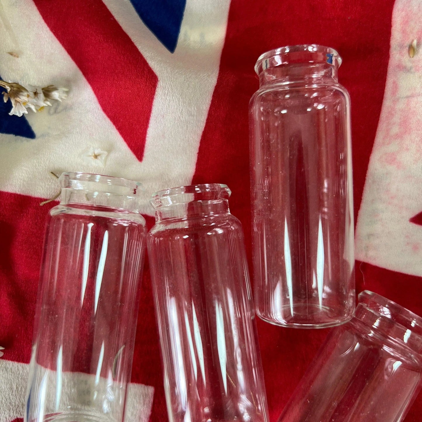 Five Small Glass Bottles, Propagating Tubes, Vases - The Blind Mole