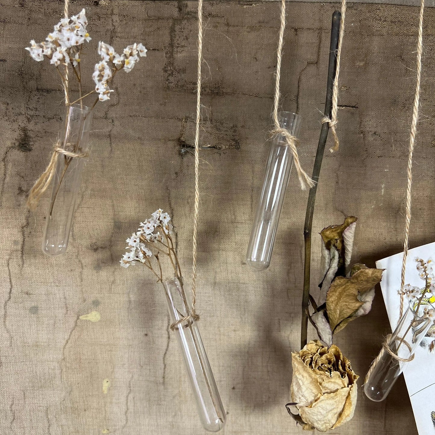 Five Small Glass Test Tubes, Propagating Tubes, Vases - The Blind Mole