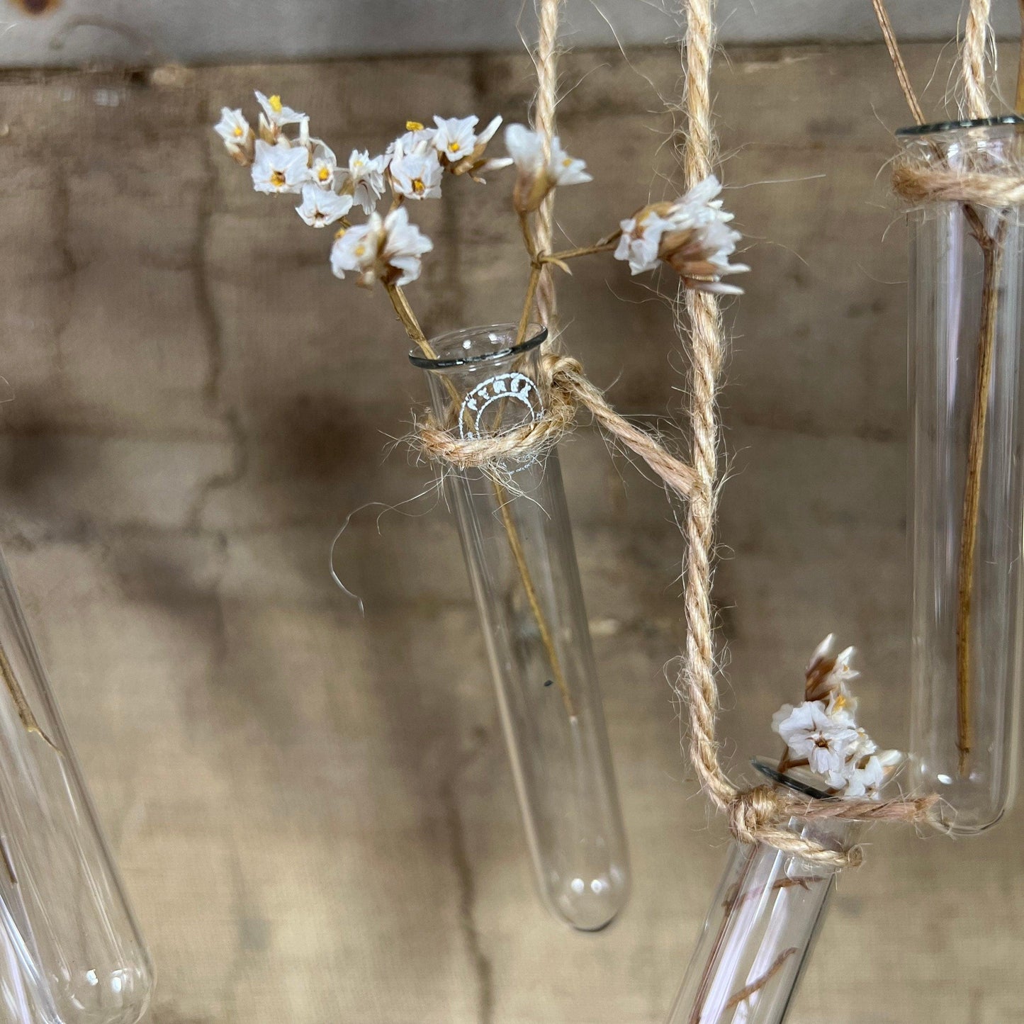 Five Small Glass Pyrex Test Tubes, Propagating Tubes, Vases - The Blind Mole