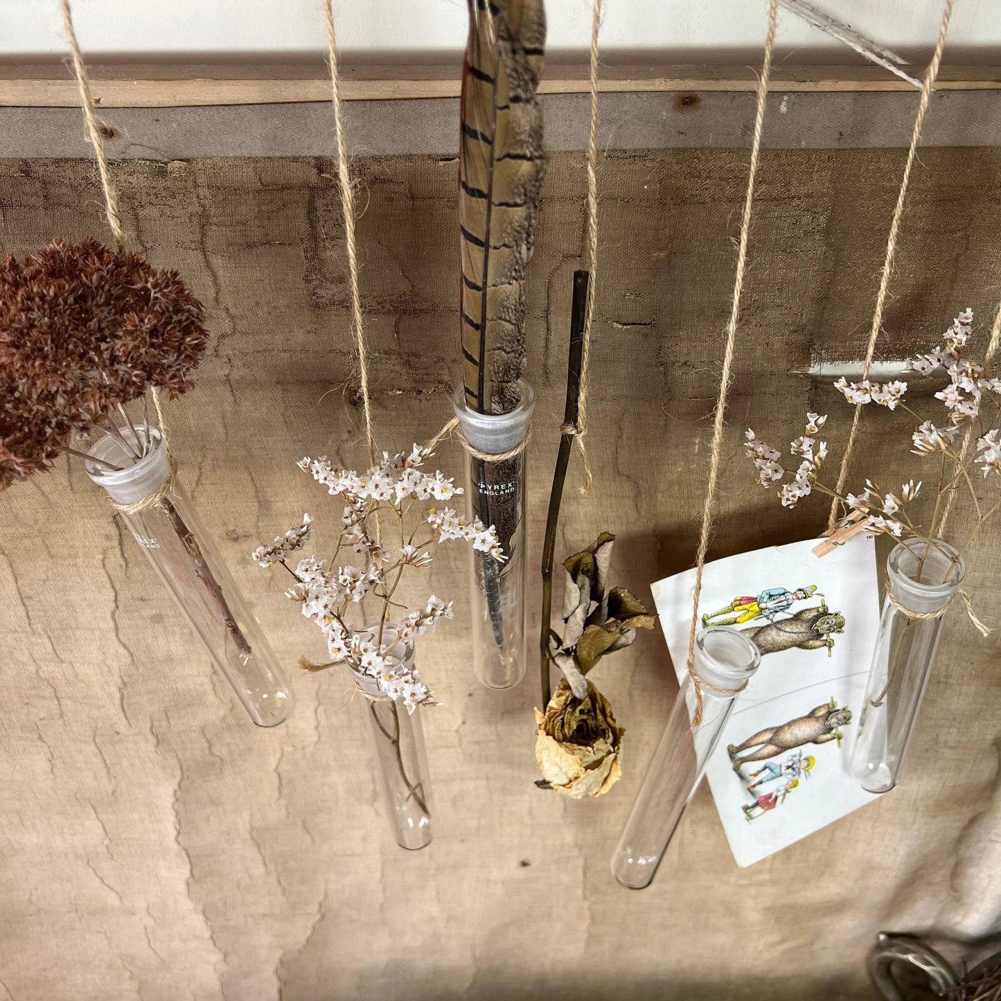 Five Large Glass Pyrex Test Tubes, Propagating Tubes, Vases - The Blind Mole