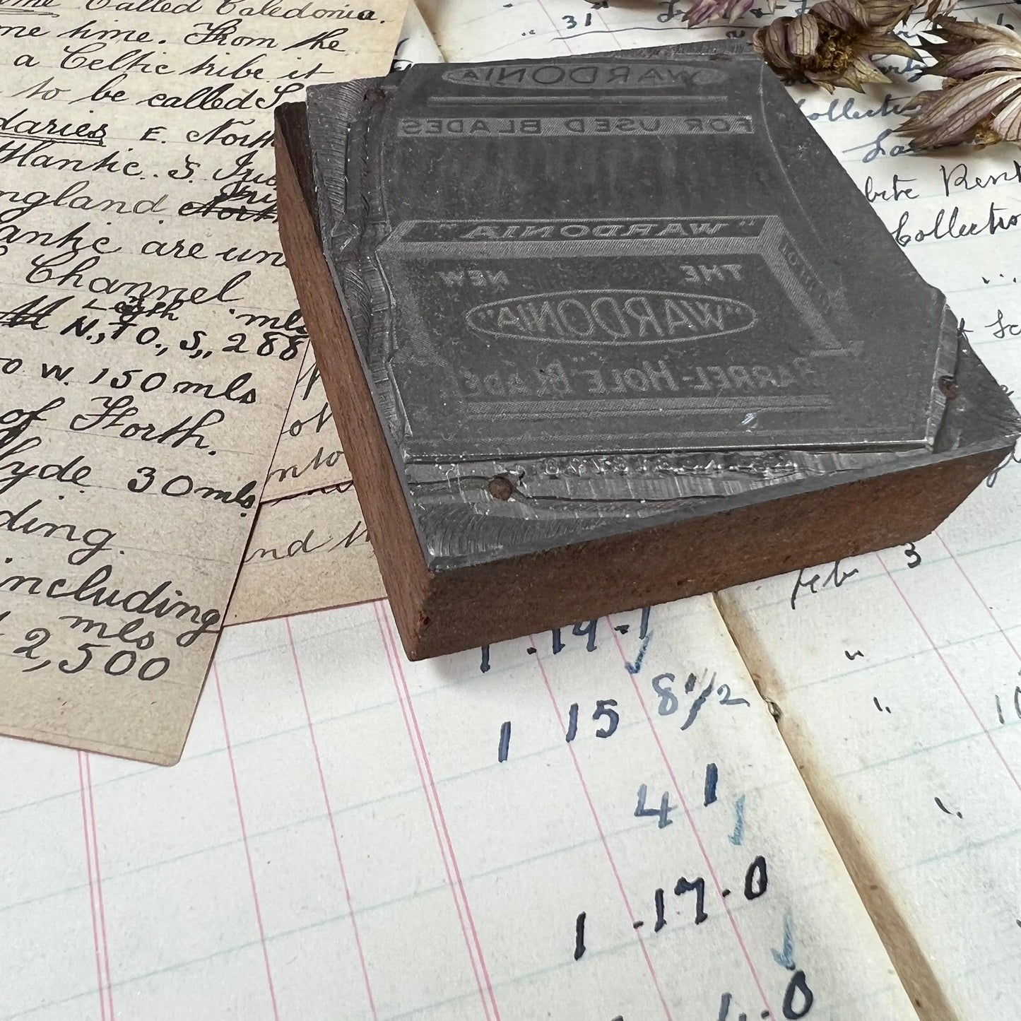 Vintage Rare Thomas Ward Wardonia Sheffield Wooden Printing Block Stamp - The Blind Mole
