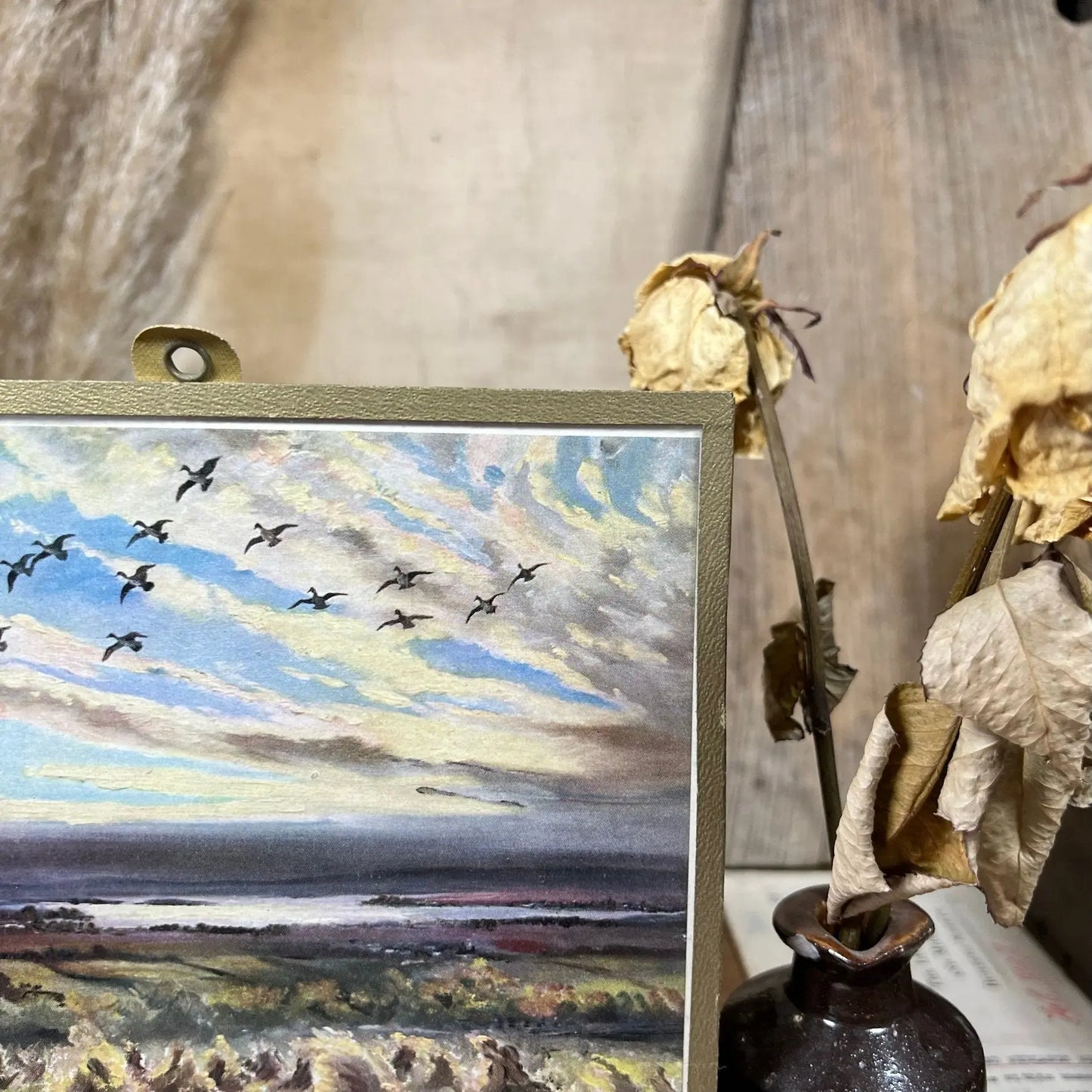 Vintage Framed Print "Mallard Coming Into The Corn" Hugh Monahan - The Blind Mole