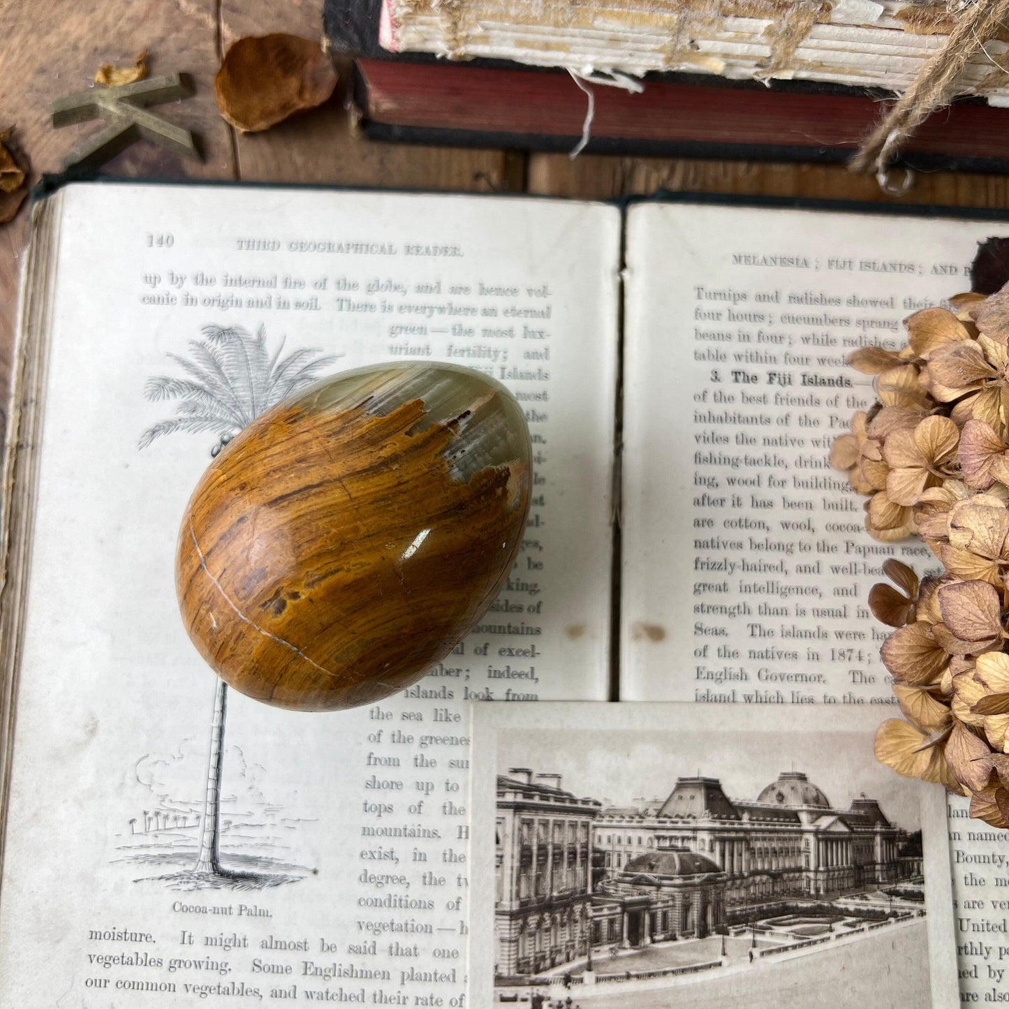 Decorative Tan & Green Coloured Onyx Egg - The Blind Mole