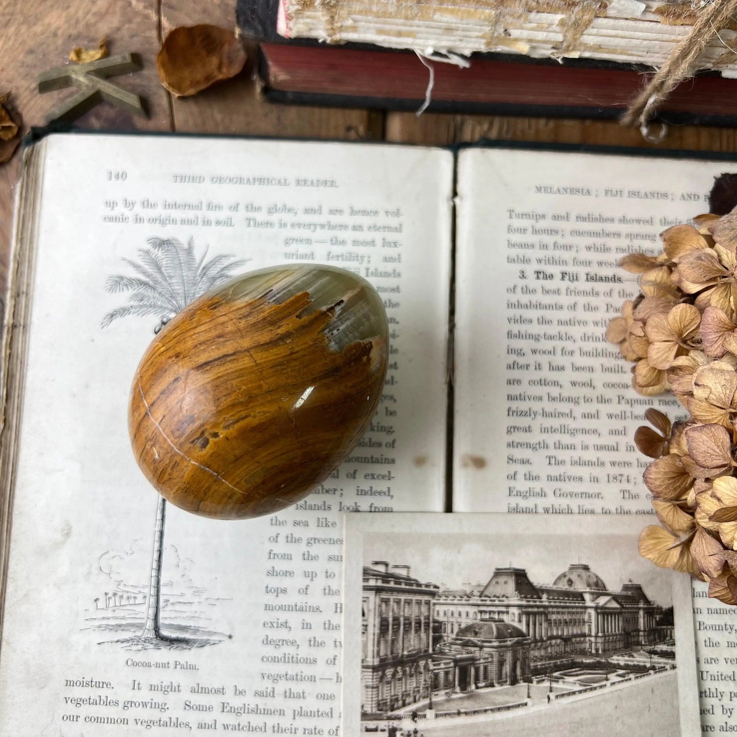 Decorative Tan & Green Coloured Onyx Egg - The Blind Mole