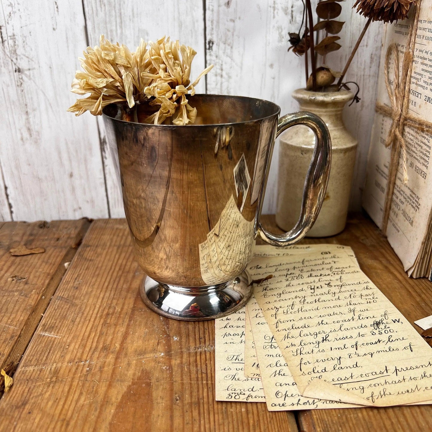Stunning EPNS Large Footed Tankard - The Blind Mole