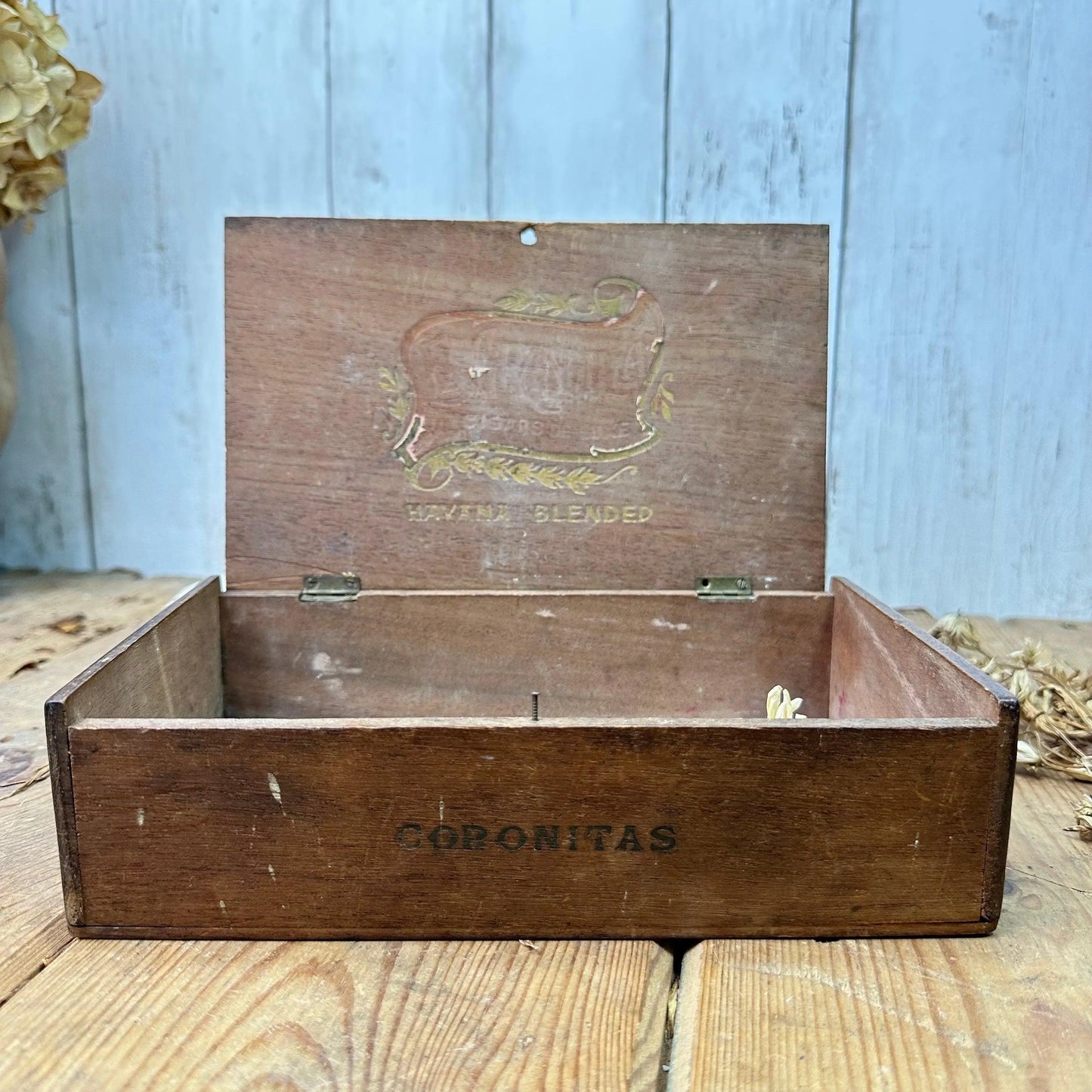 Small Wooden Keepsake, Jewellery, Corontias Cigar Box - The Blind Mole