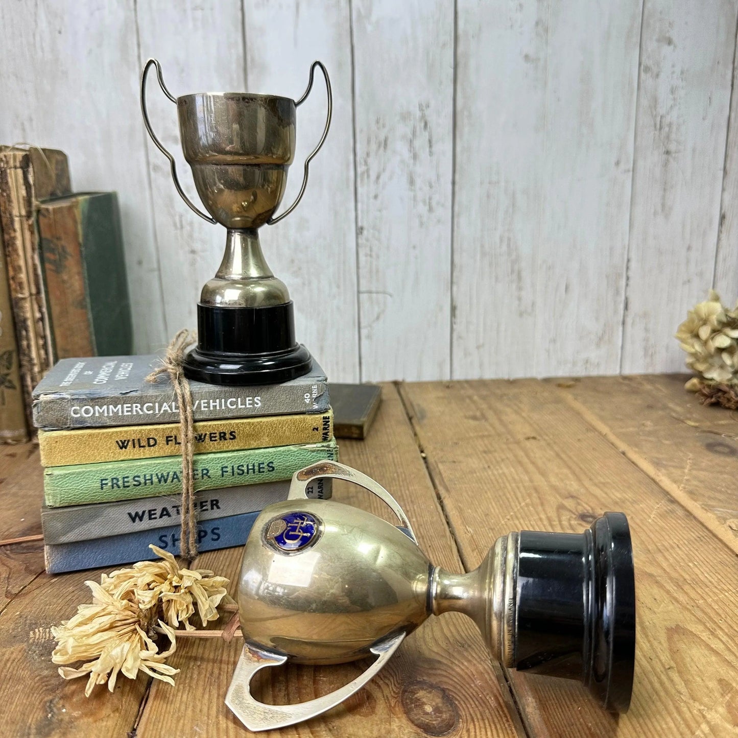 Pair of Small Decorative Trophies / Cups - The Blind Mole