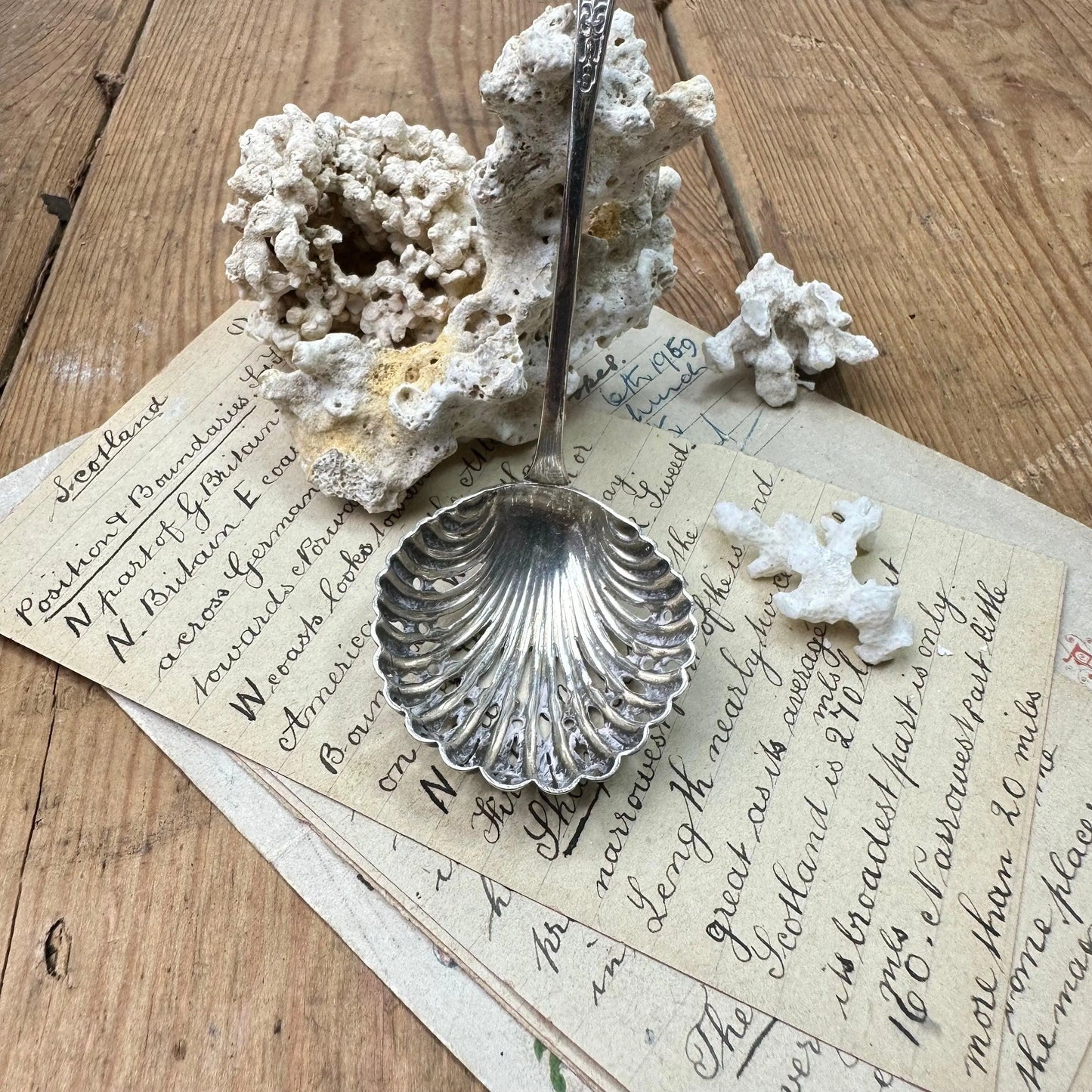 Antique EPNS Victorian Powered Sugar Sifter Spoon - The Blind Mole