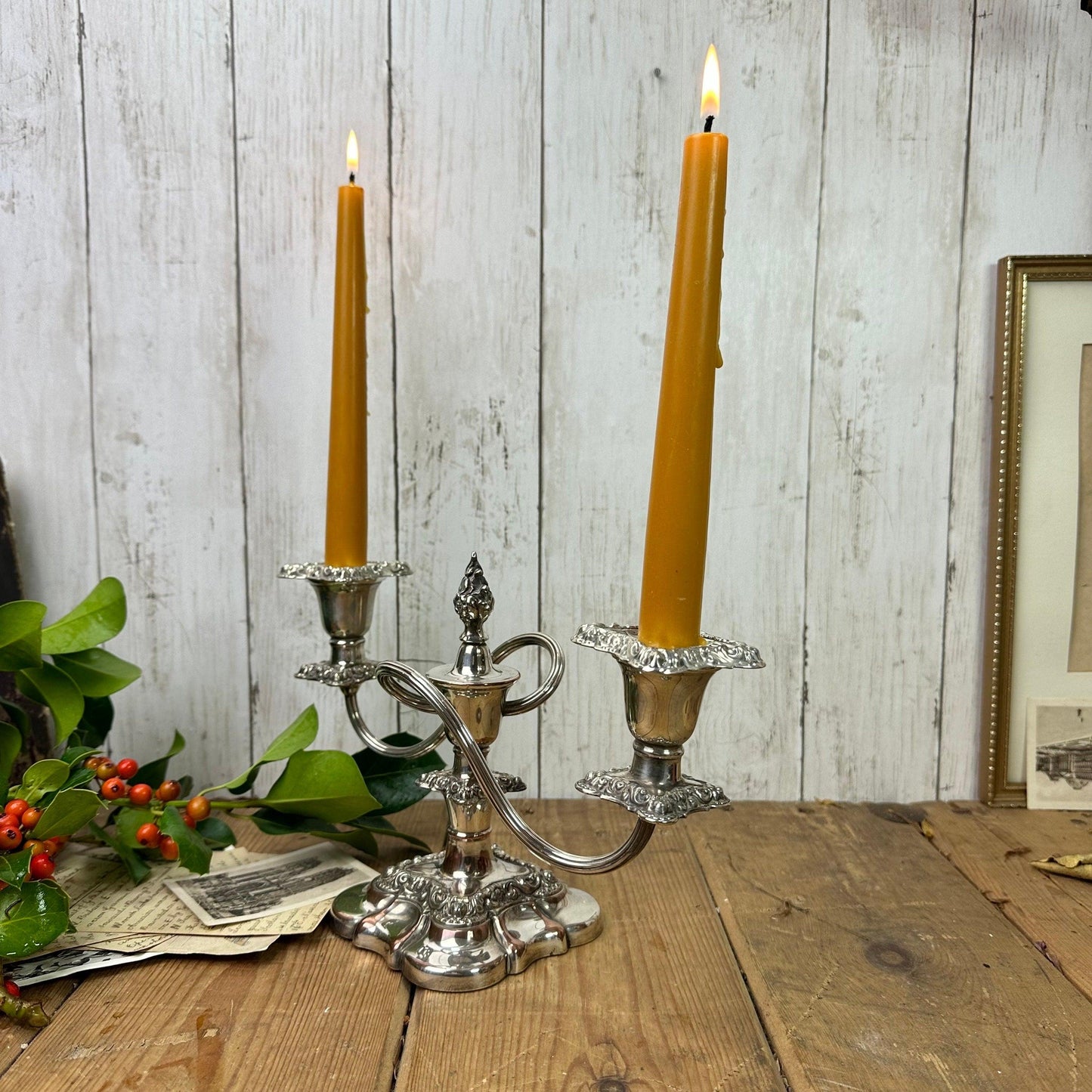 Beautiful Silver Plated Candelabra - The Blind Mole