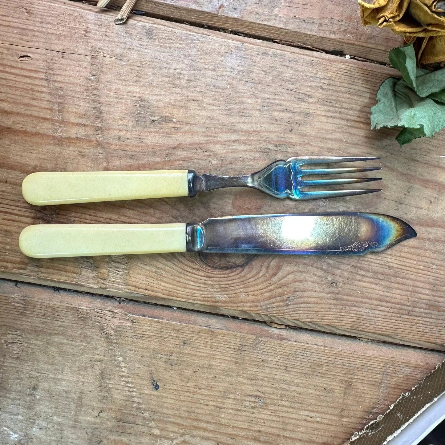 Ornate Boxed Set of Cutlery - Fish - The Blind Mole