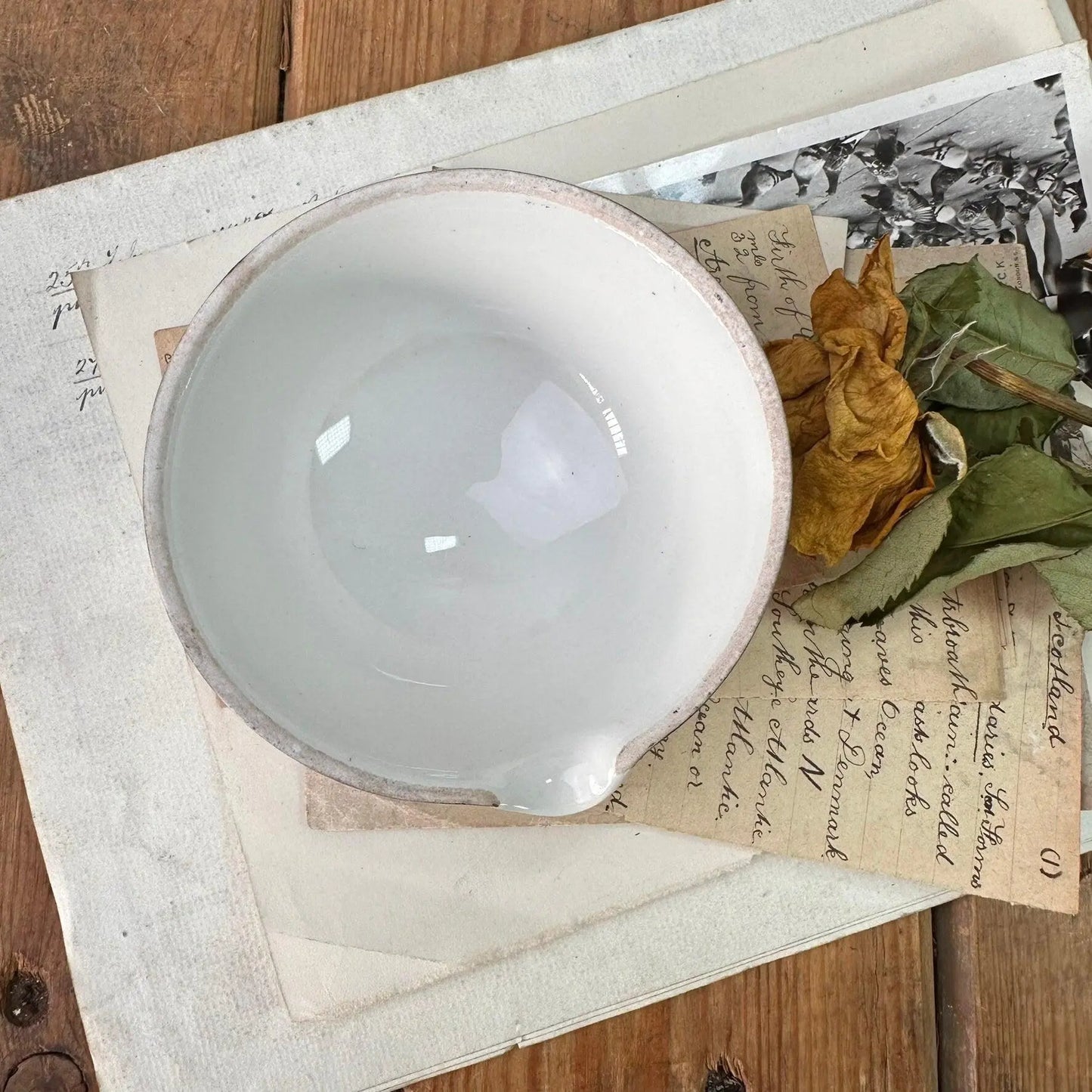 German Porcelain Staatlich Berlin AH3 Evaporation, Soap Dish - The Blind Mole