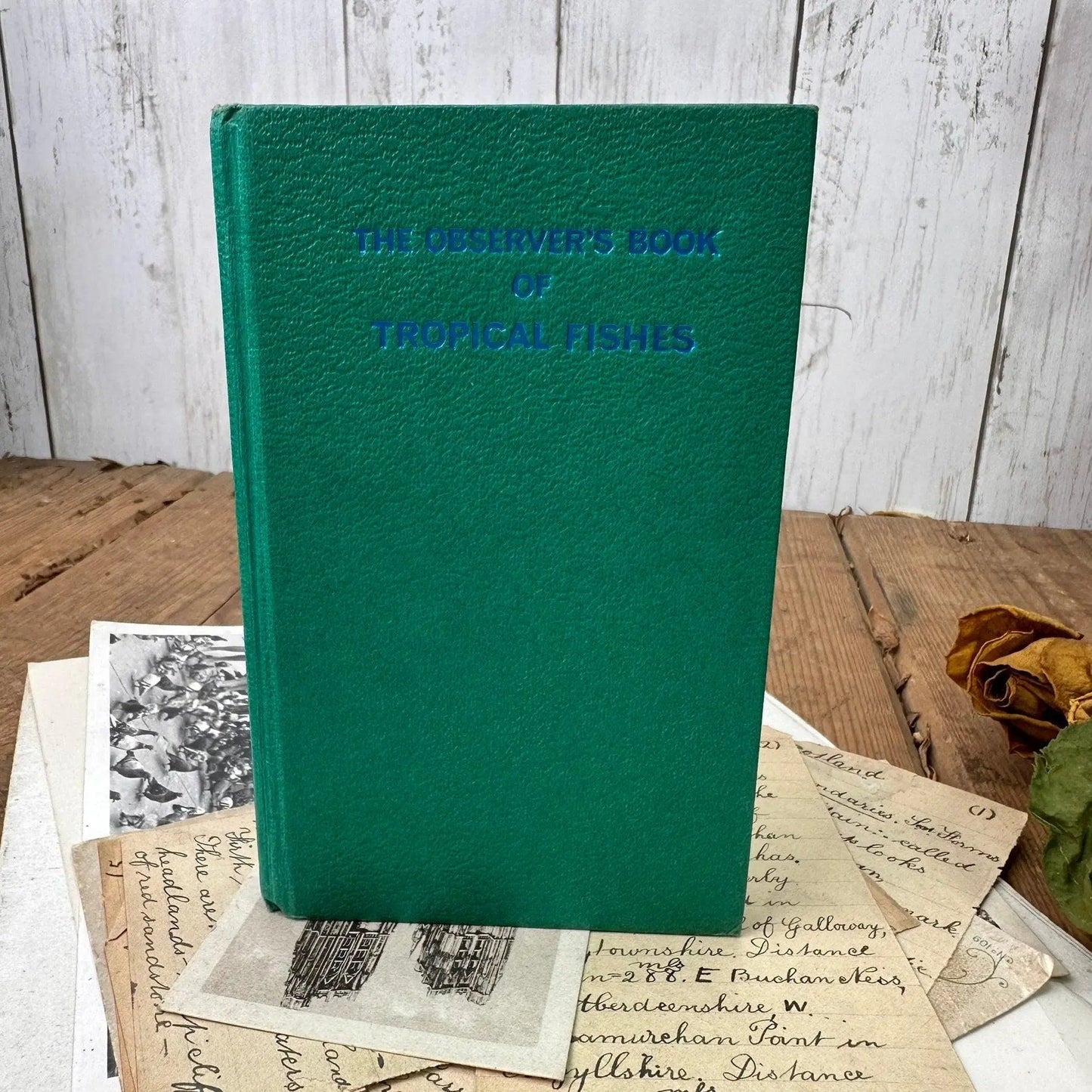 The observer’s book of Tropical Fishes - Top to Bottom - The Blind Mole