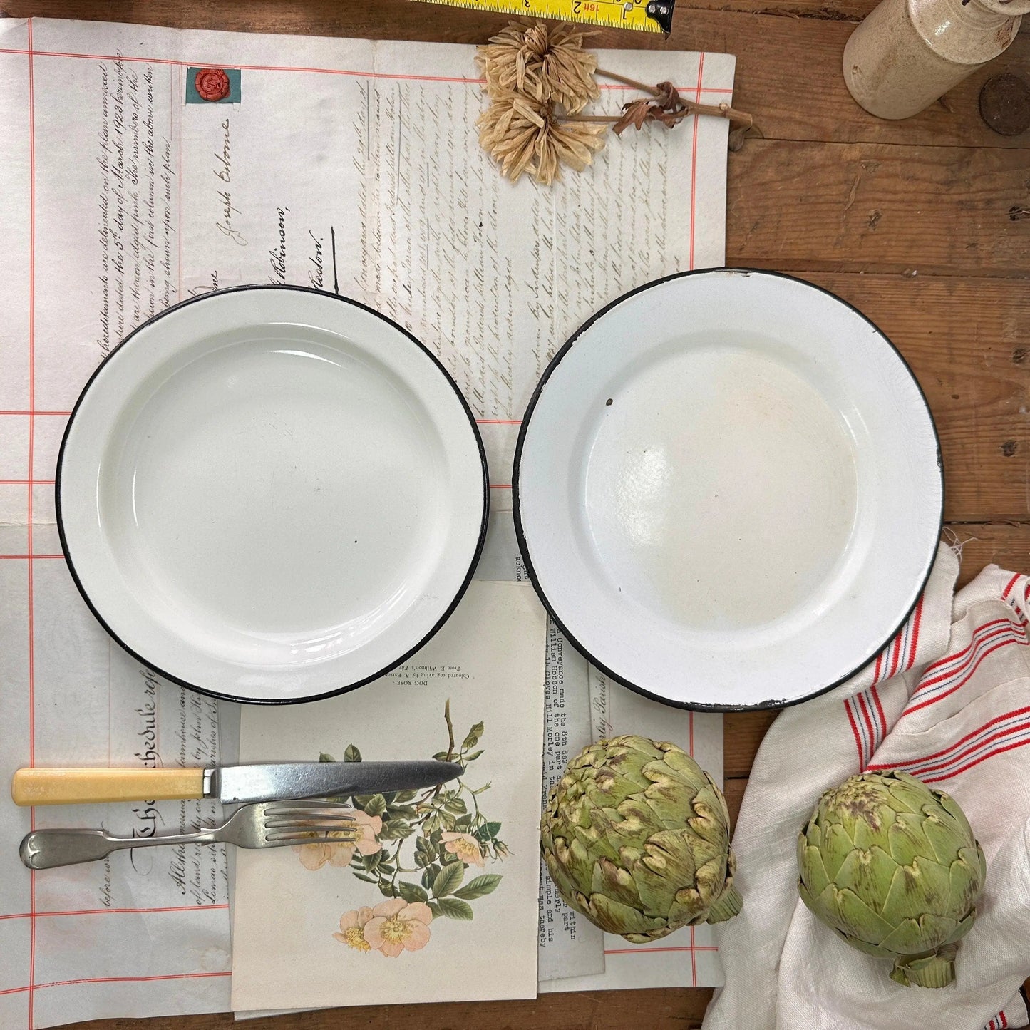 Pair of Vintage Enamel White & Blue Plates - The Blind Mole