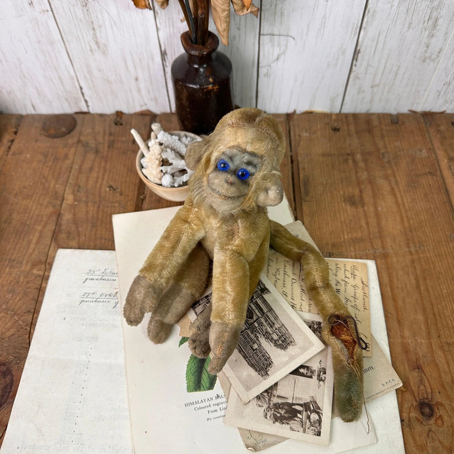 1940's Mohair Steiff Monkey Teddy Bear Mungo - The Blind Mole