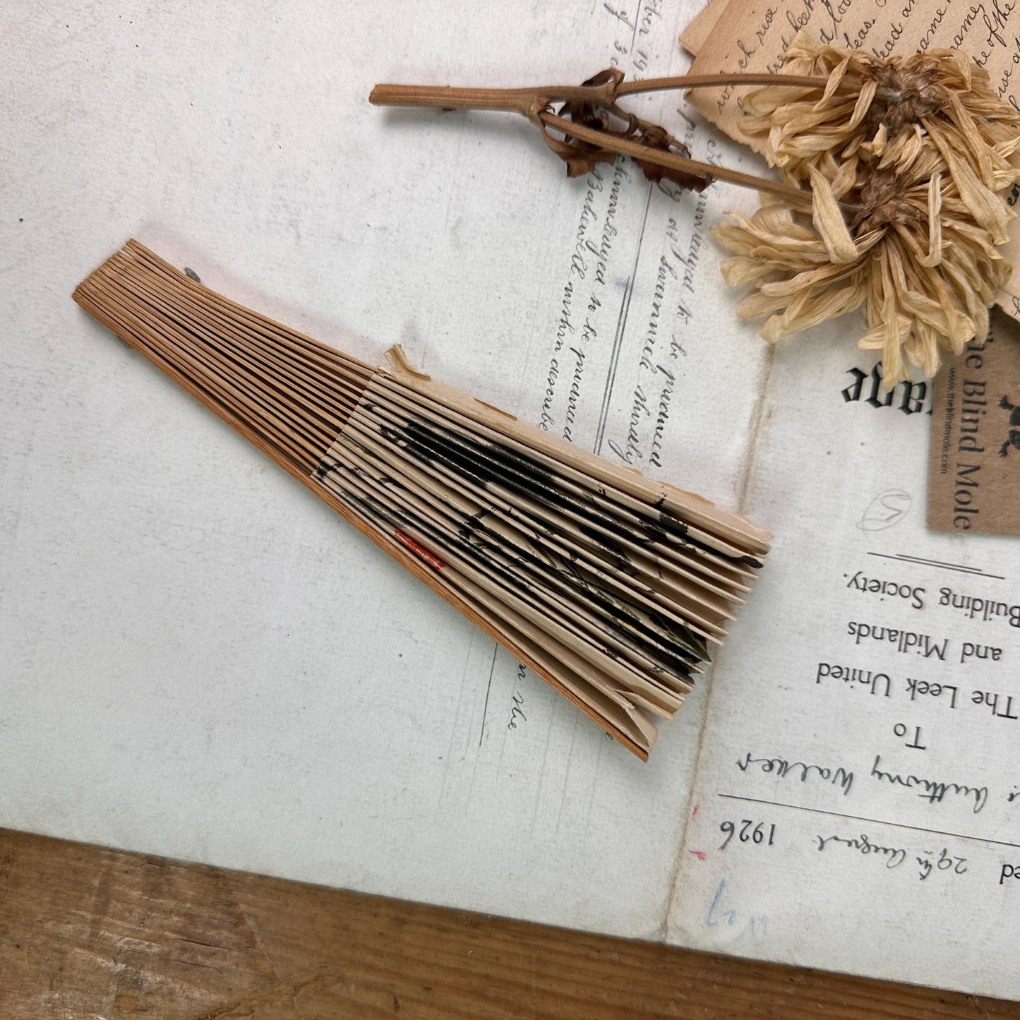 Vintage Oriental Chinese Handheld Paper Fan* - The Blind Mole