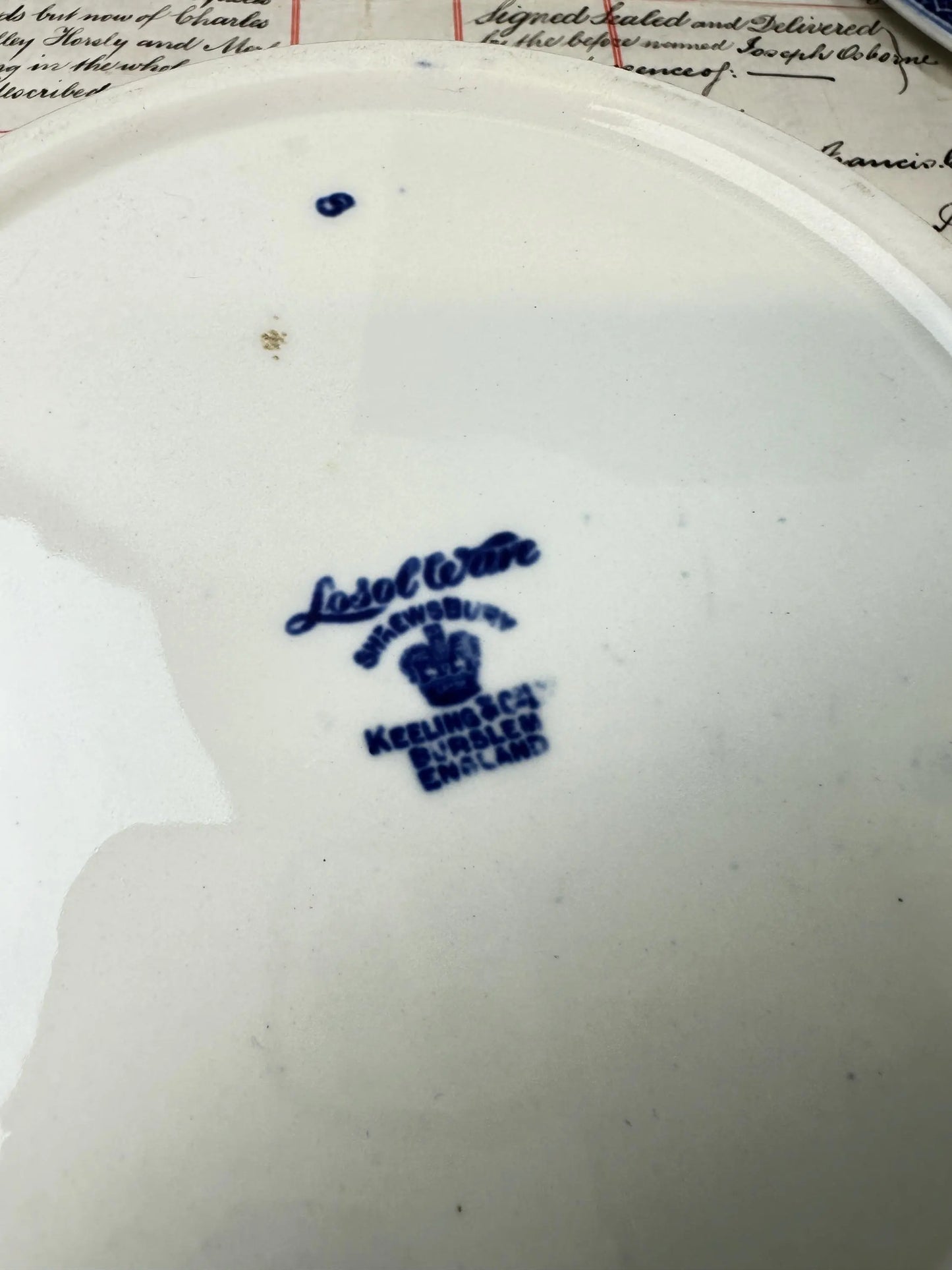 Losol Ware by Keeling & Co Kingston Shrewsbury Tureen - The Blind Mole
