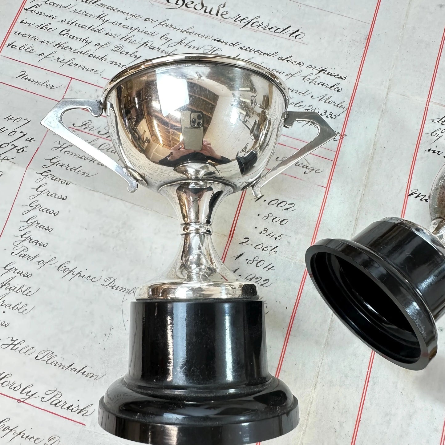 Pair of Small Decorative Trophies / Cups - The Blind Mole